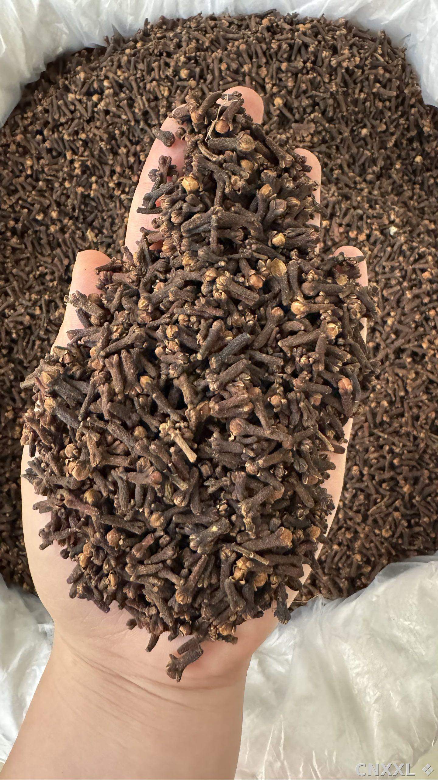 spice_25890_0844f693_2.jpg