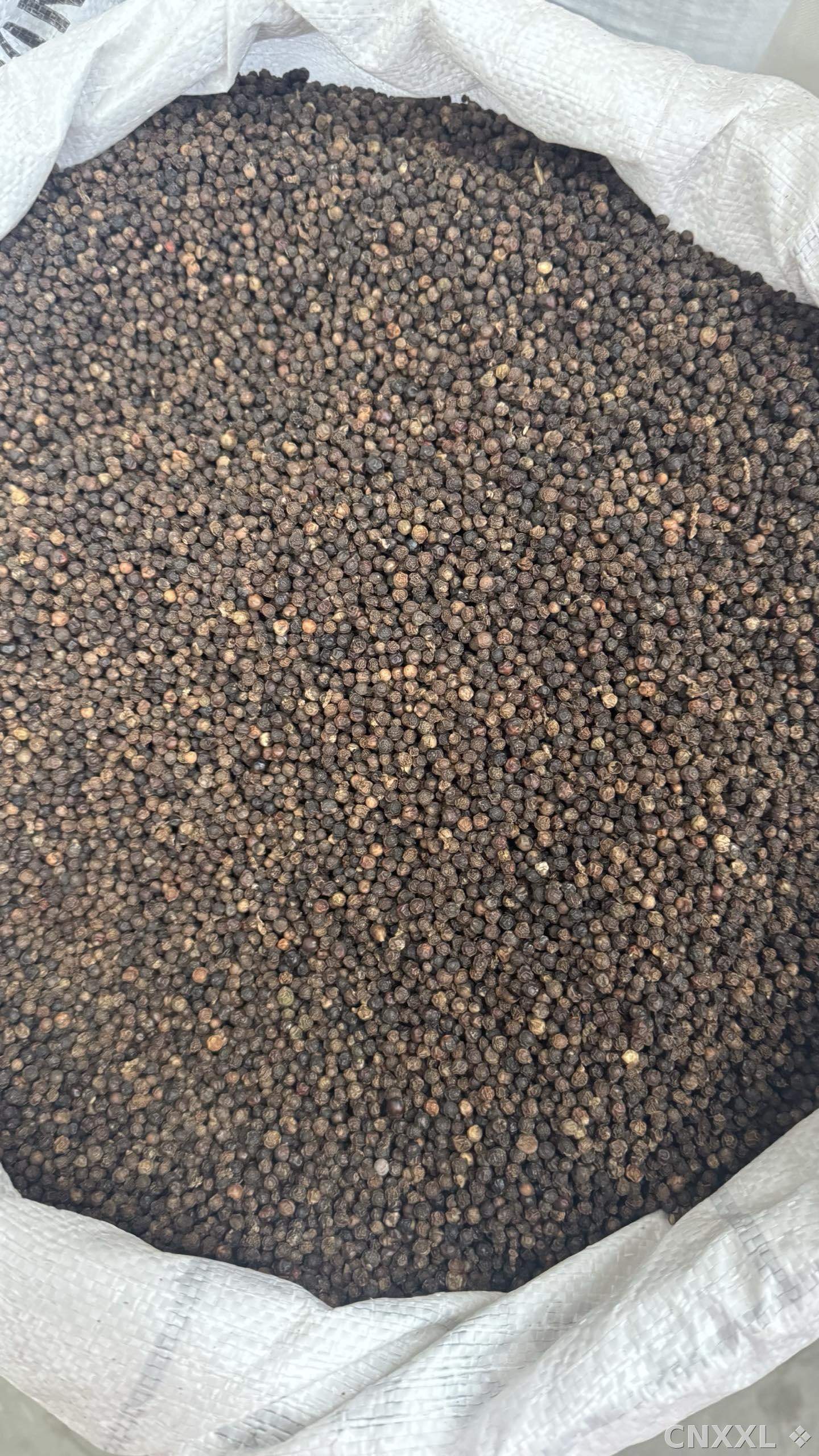 spice_25891_ecb74ac2_3.jpg