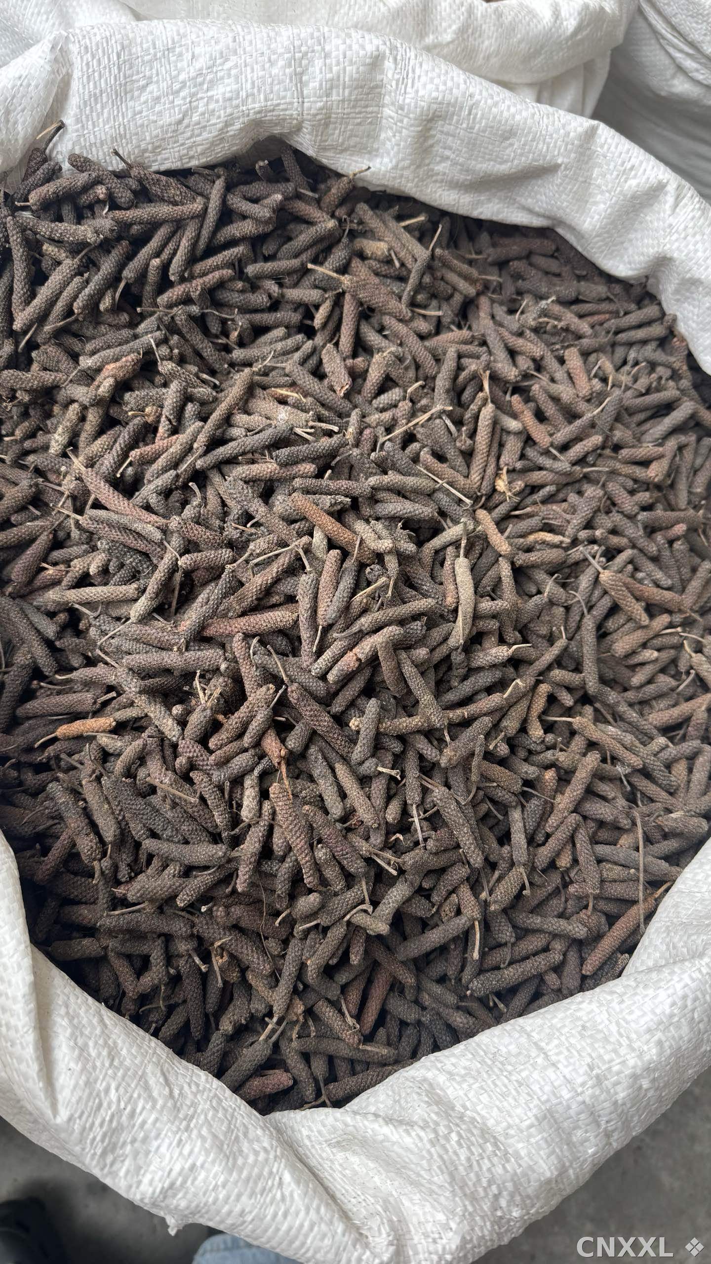 spice_25896_e39b5f10_3.jpg