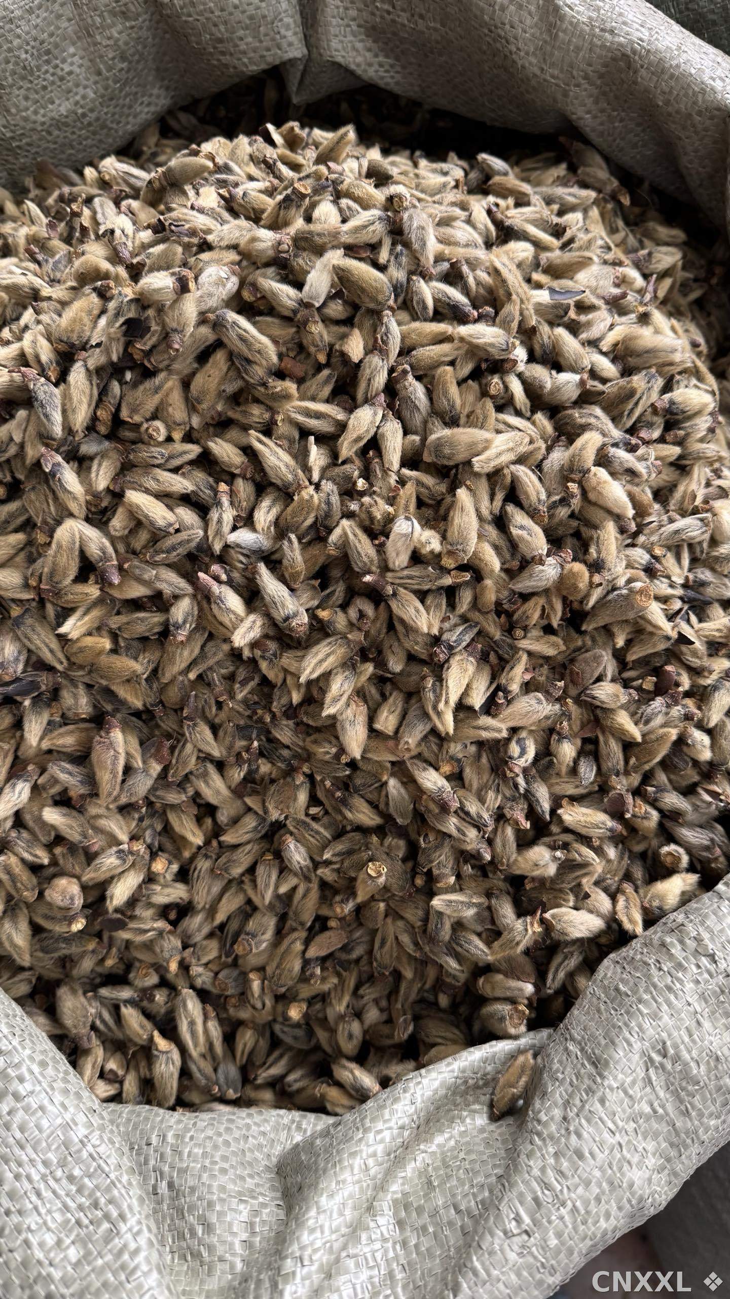 spice_25897_ee0850ab_3.jpg