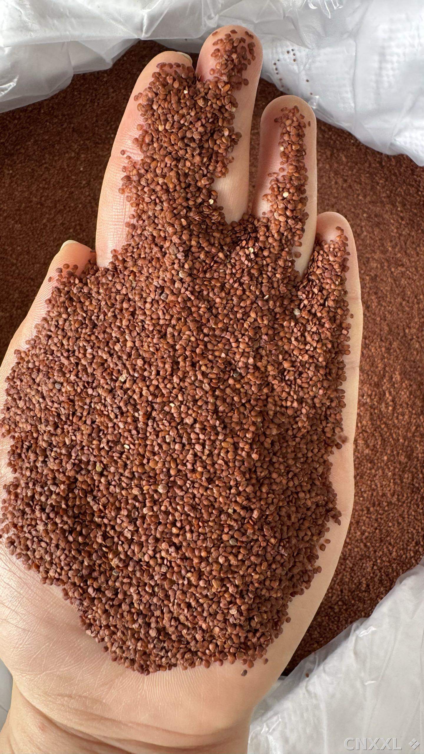 spice_25901_068b60bc_1.jpg