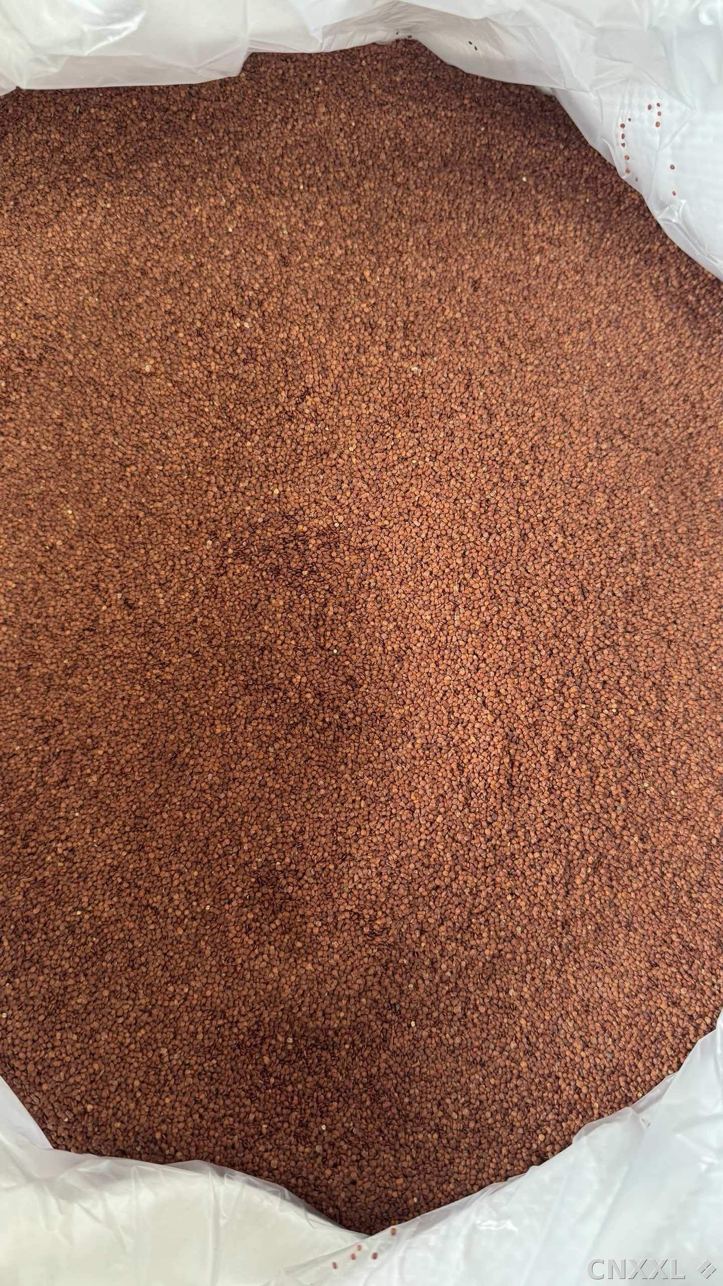 spice_25901_35c453f6_3.jpg