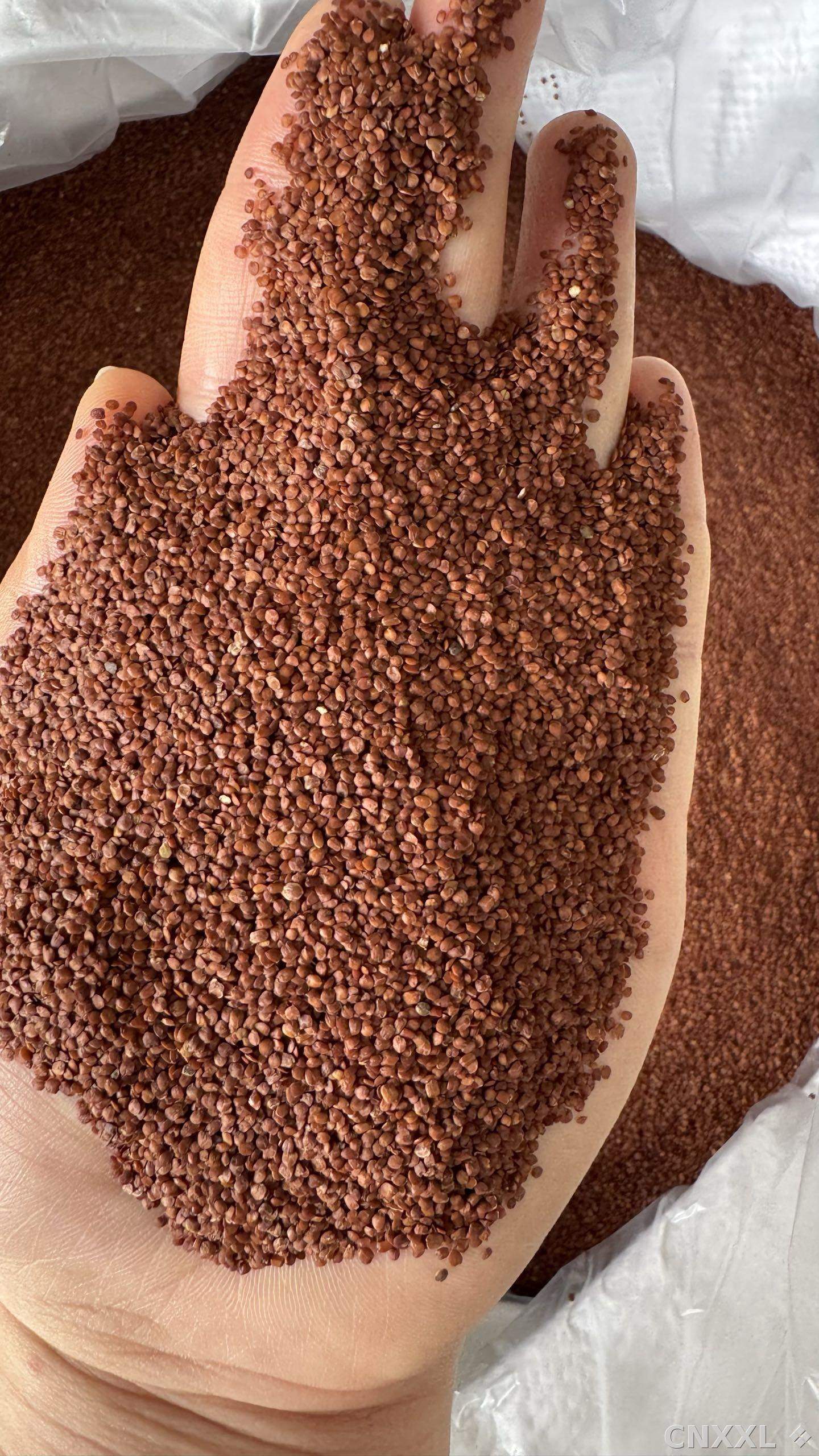 spice_25901_ef143df9_2.jpg