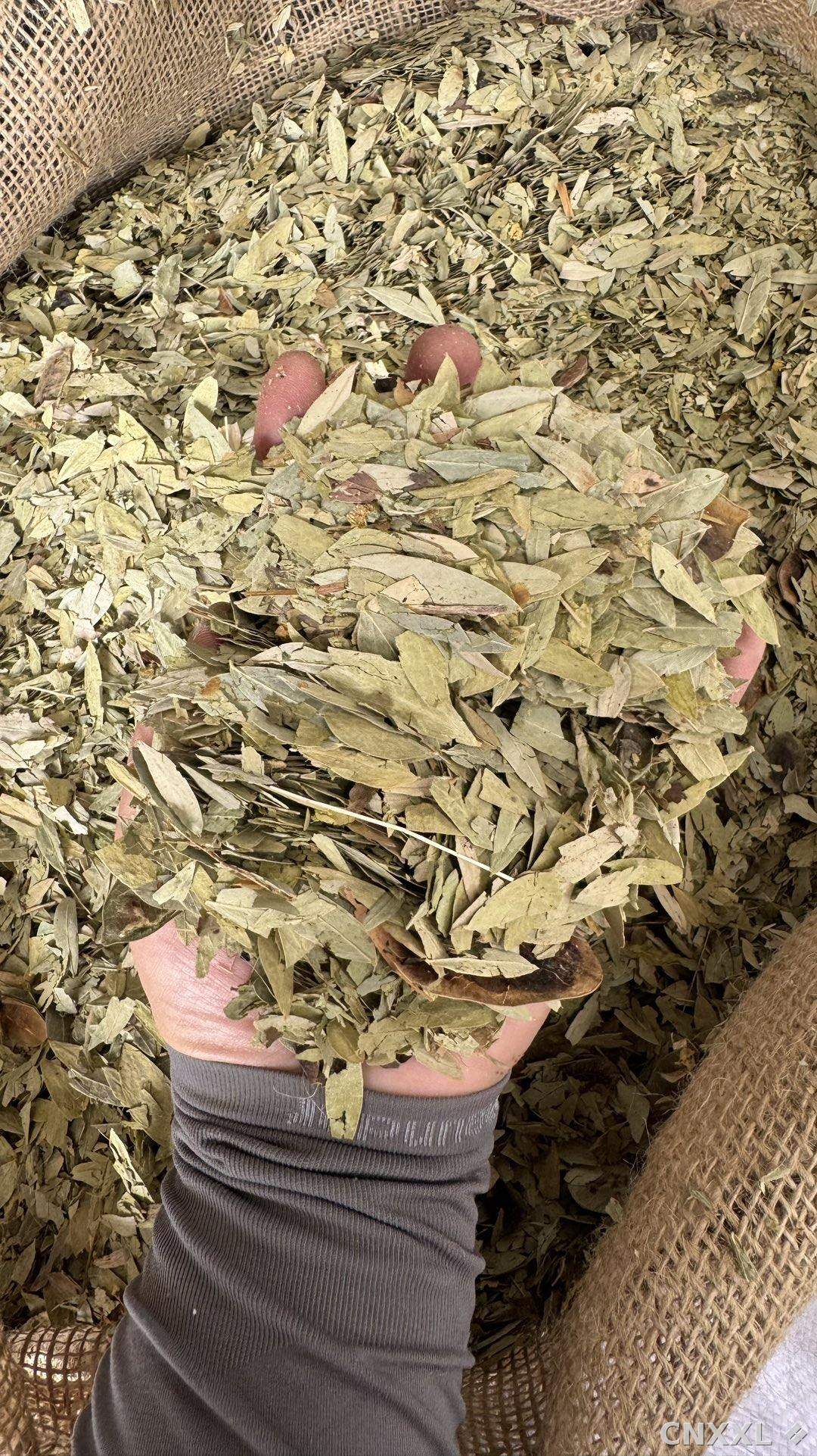spice_25903_fcea1ab2_1.jpg