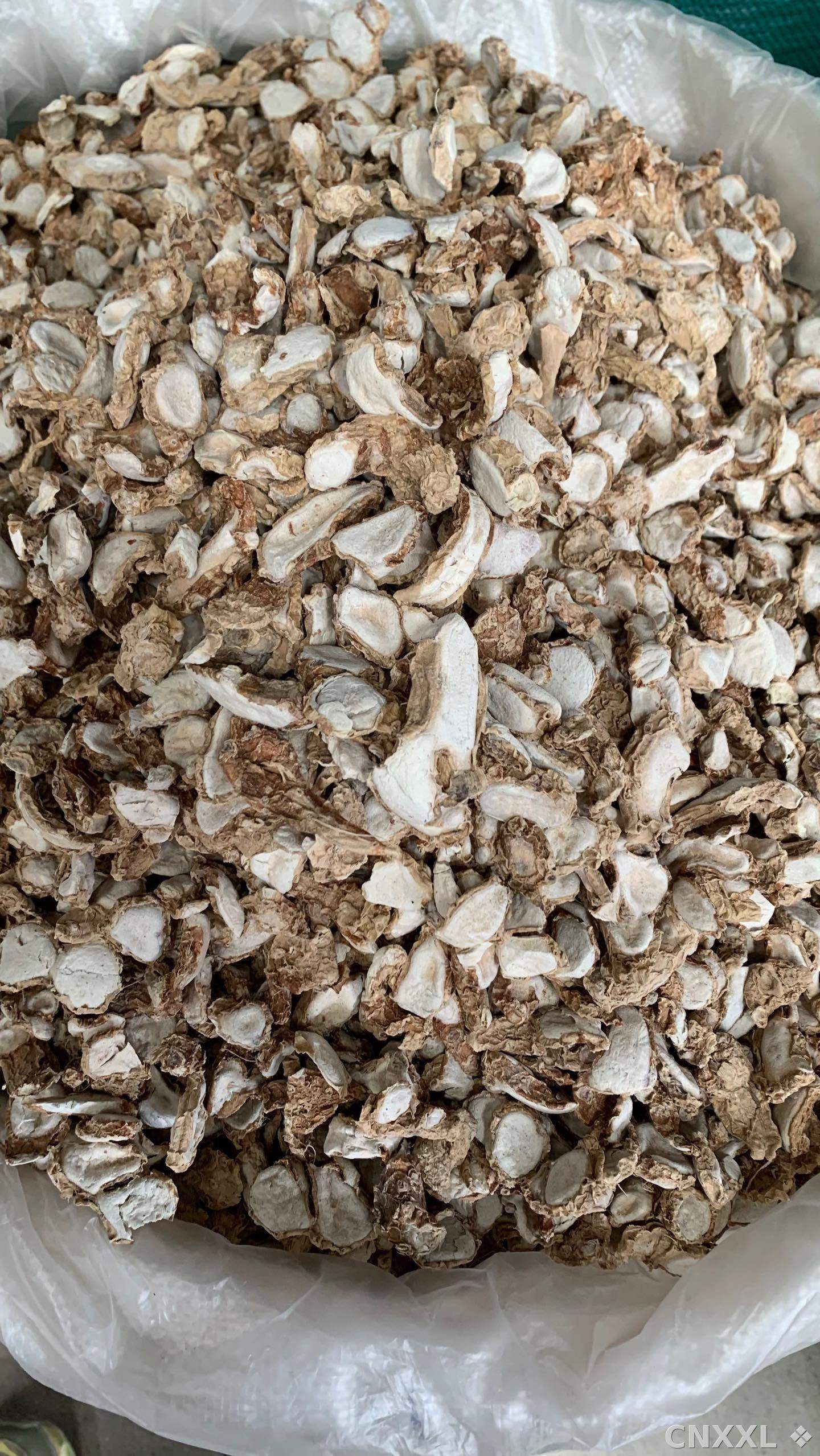 spice_25906_1913ceb7_3.jpg