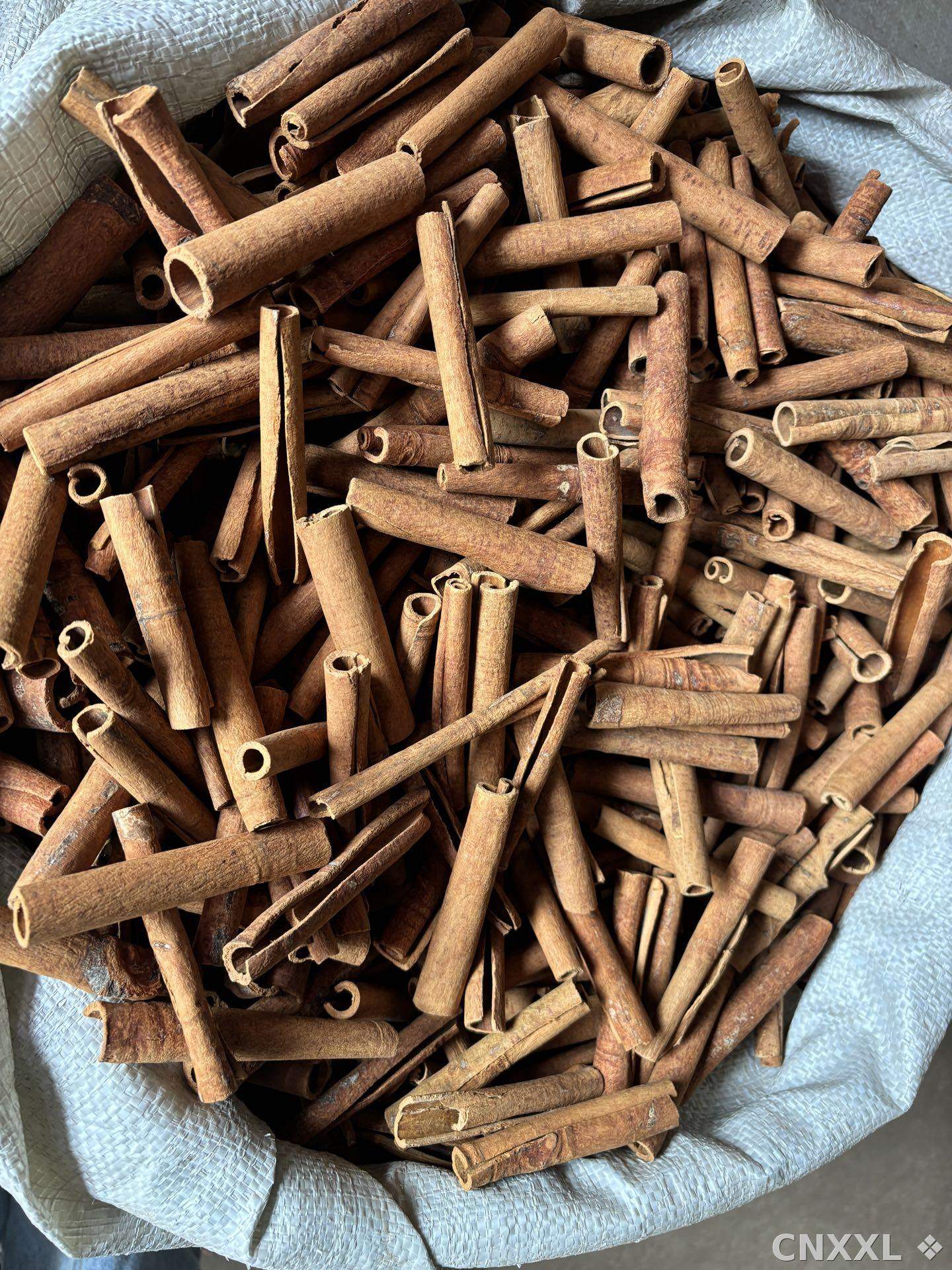 spice_25908_c8c64ded_1.jpg