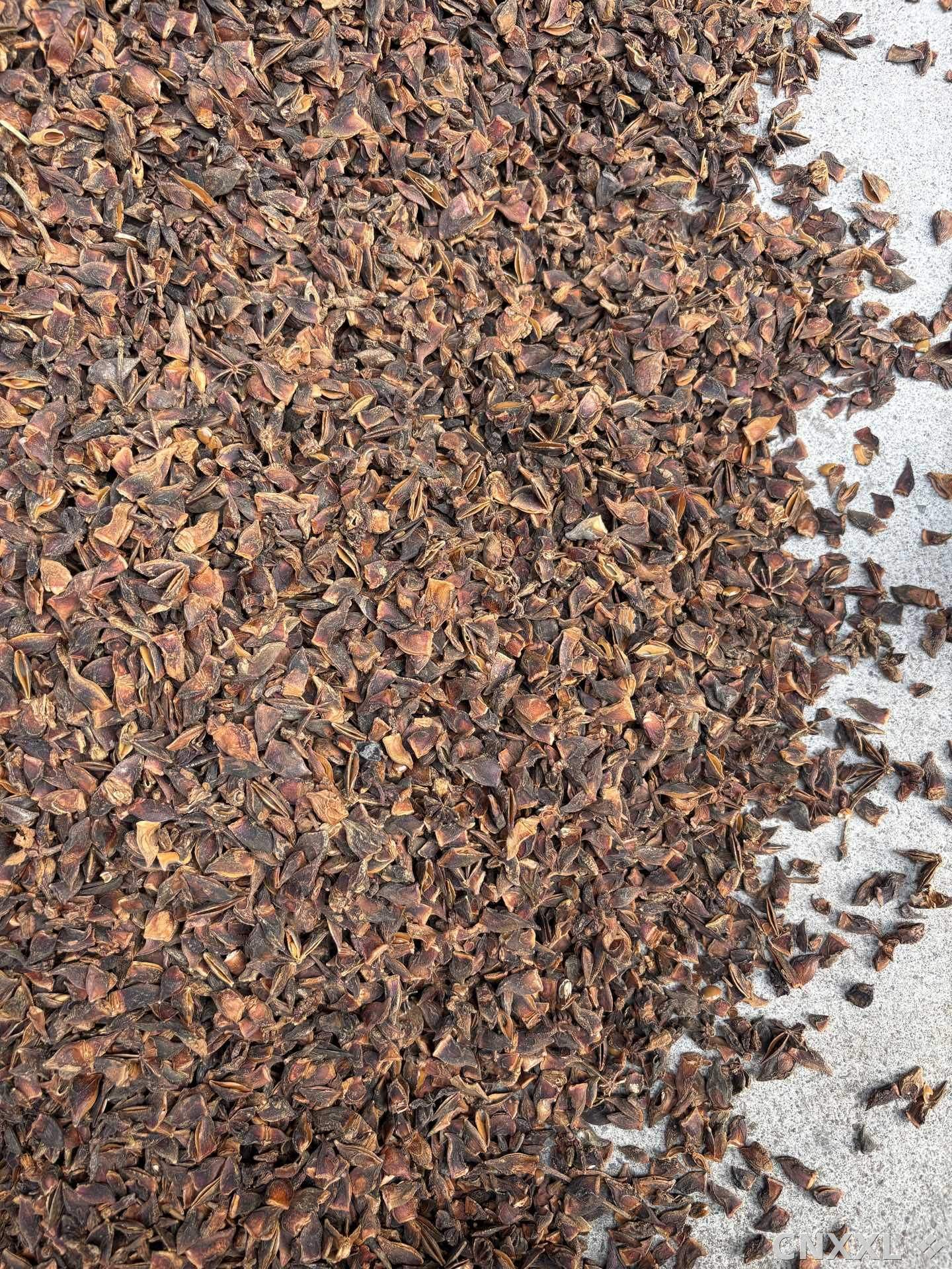 spice_25914_37bcfb89_3.jpg