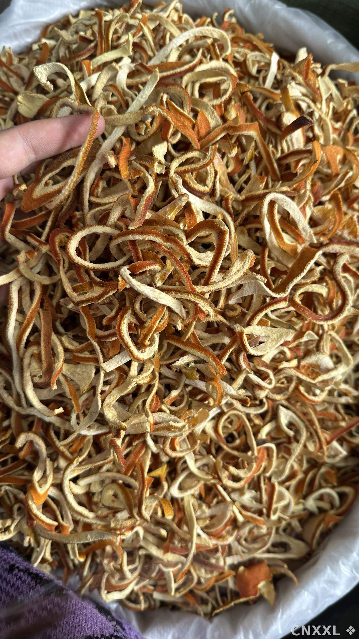 spice_25918_08db01ed_3.jpg