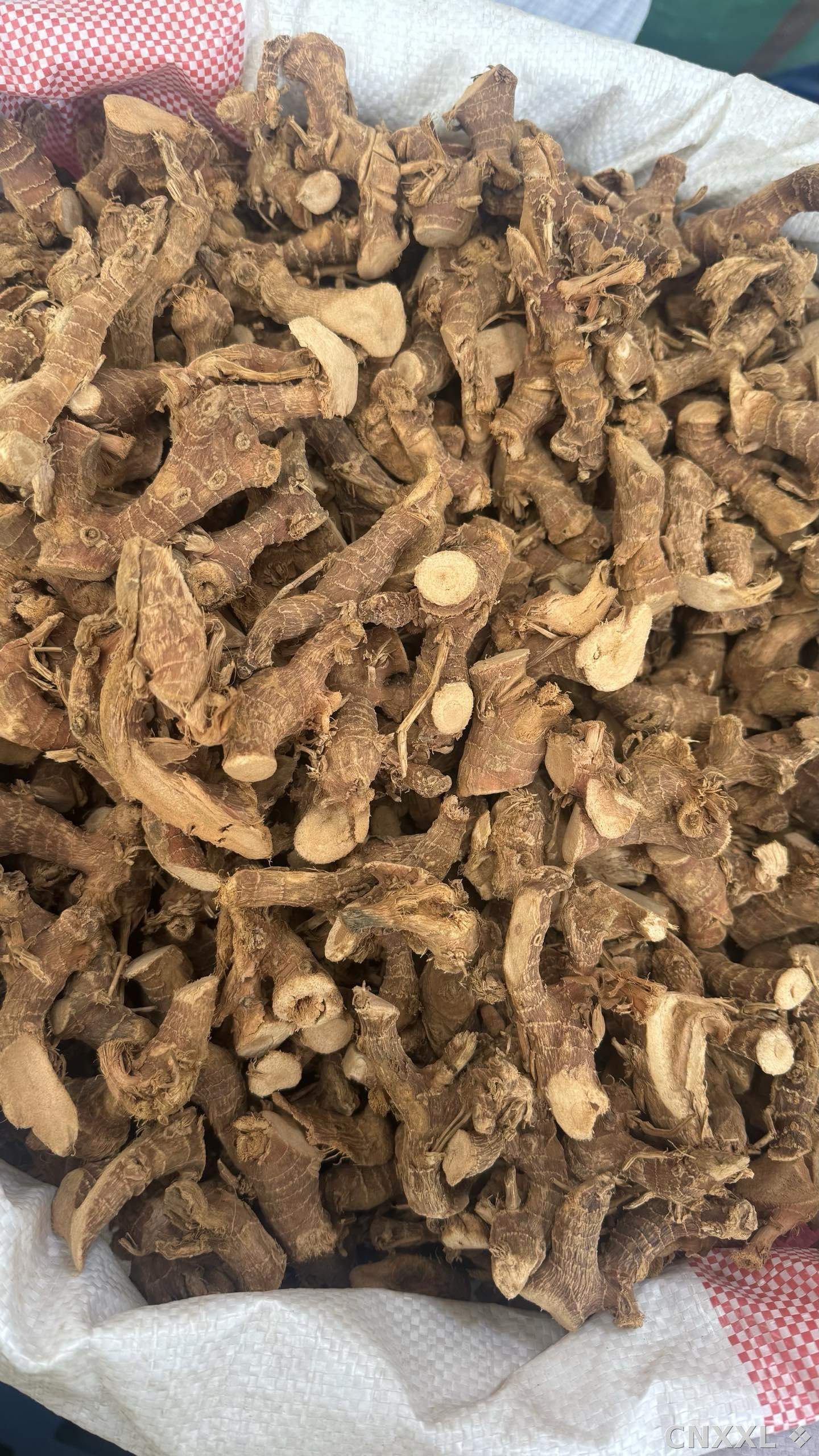 spice_25927_08289fa5_3.jpg