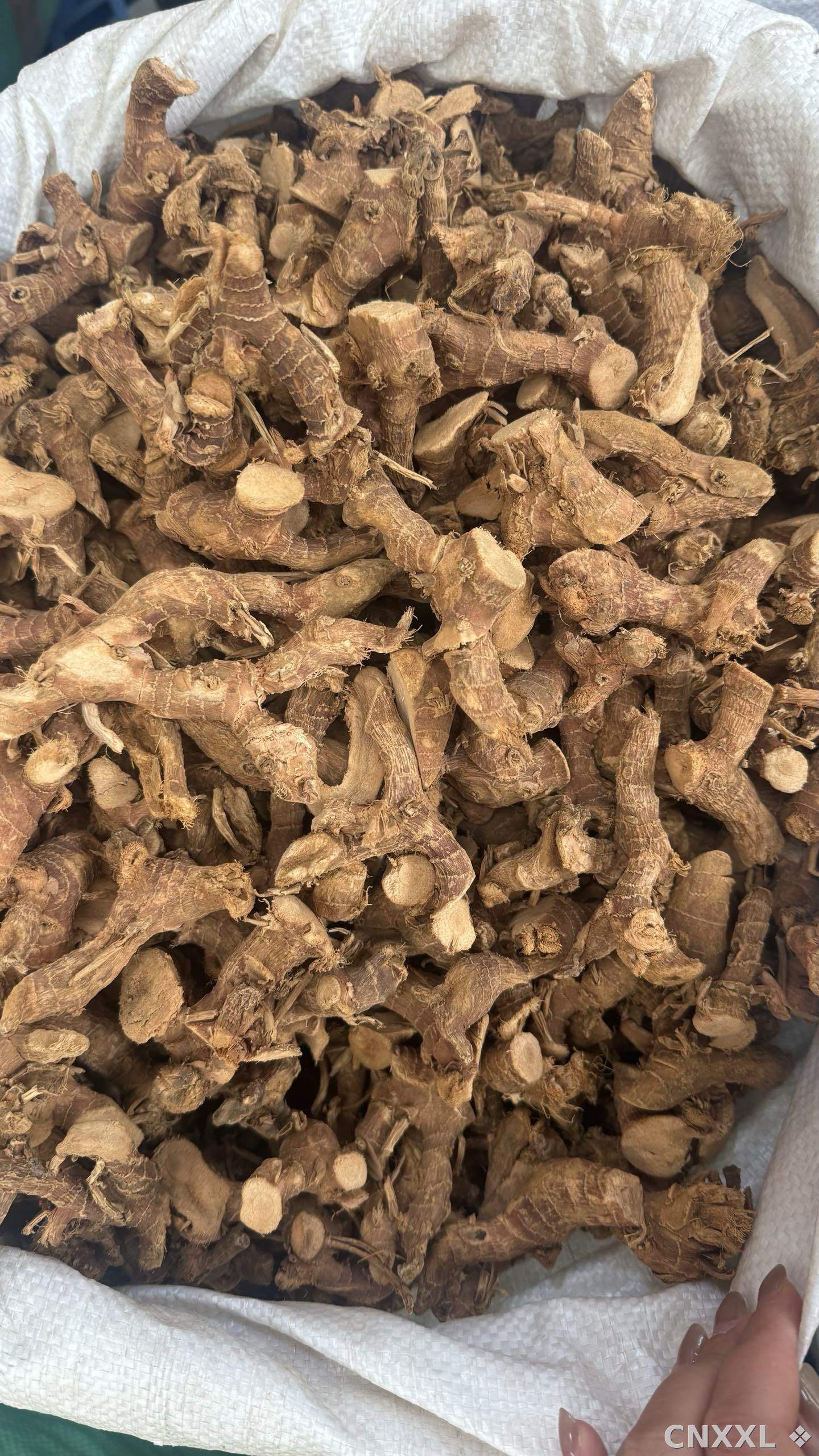 spice_25927_1f99ac99_2.jpg