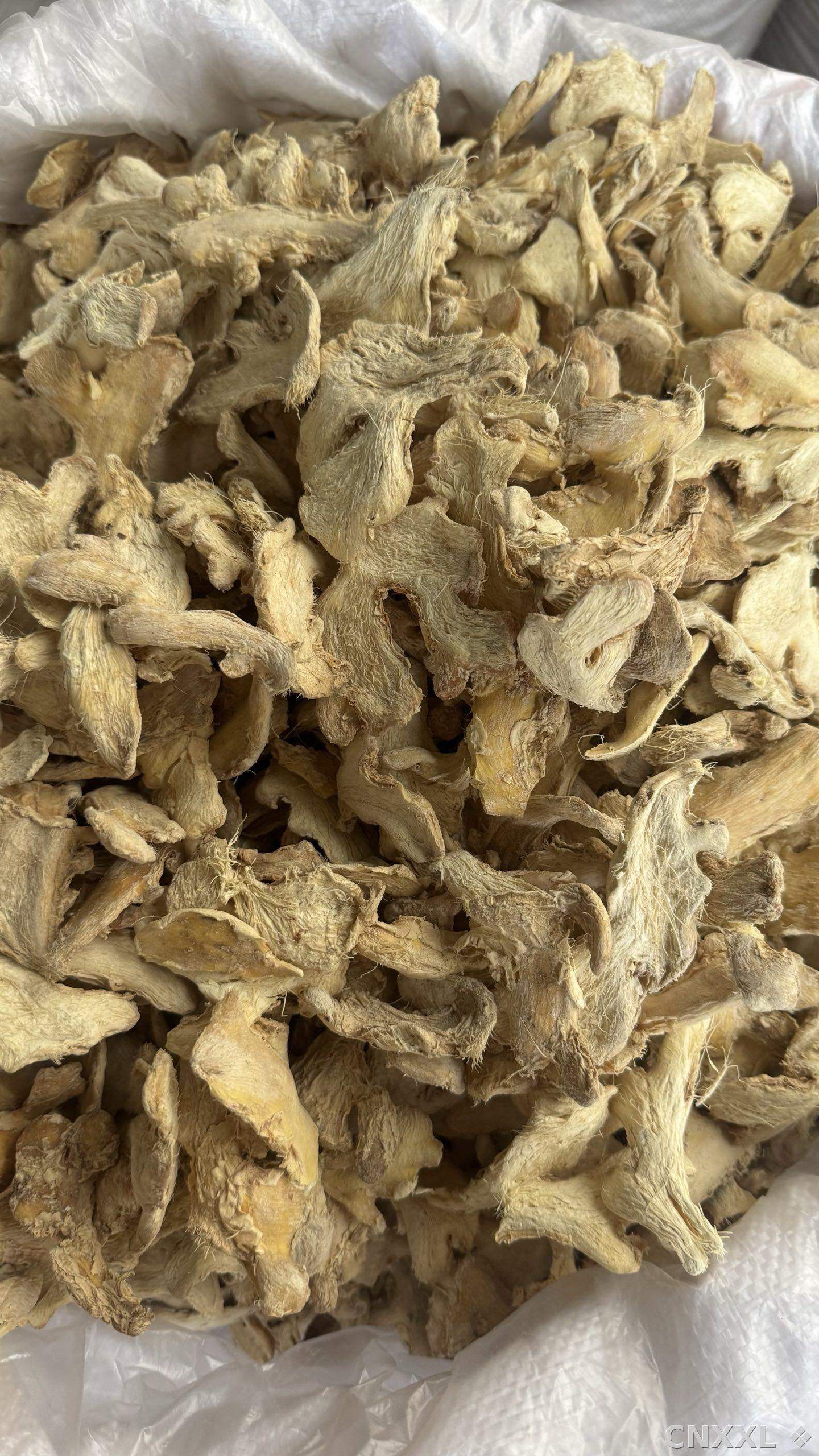 spice_25931_f0e401e8_3.jpg
