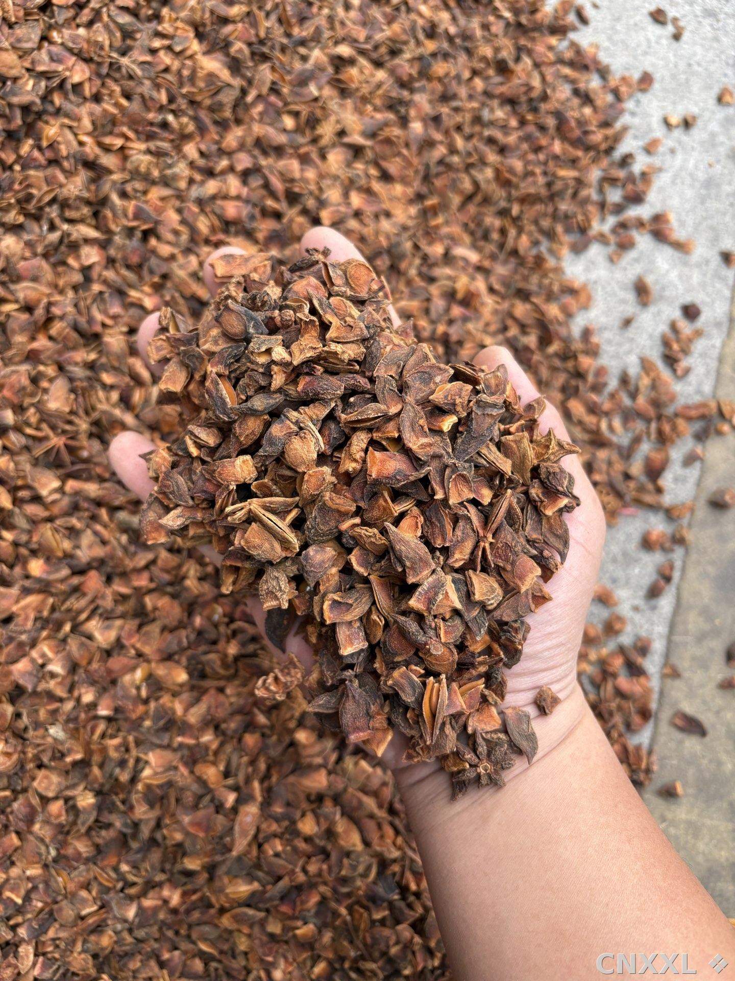 spice_25933_32db101b_1.jpg