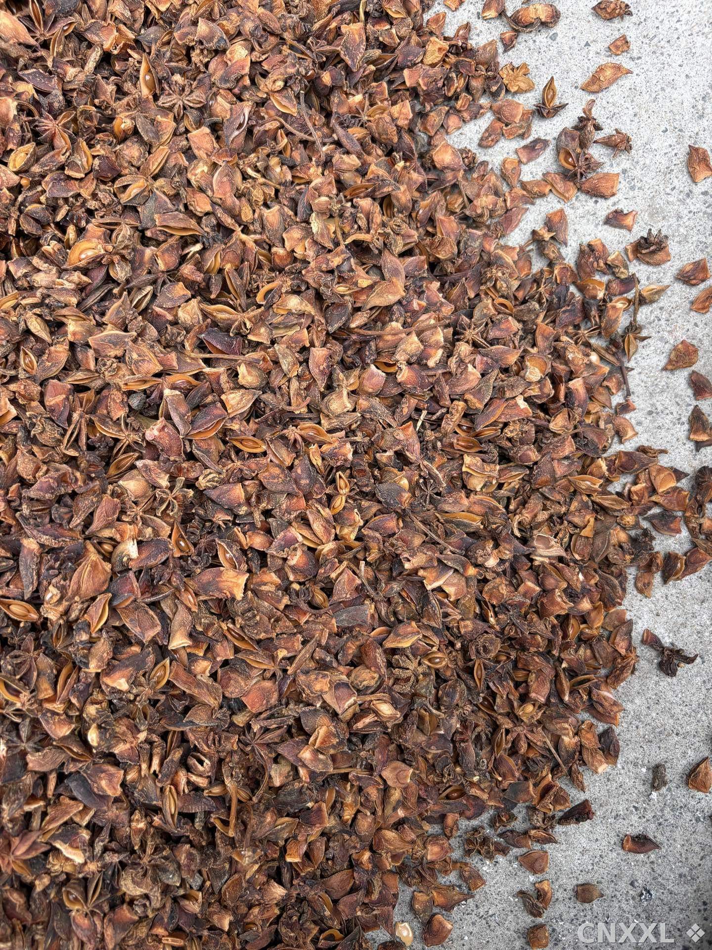 spice_25935_82f67c34_3.jpg