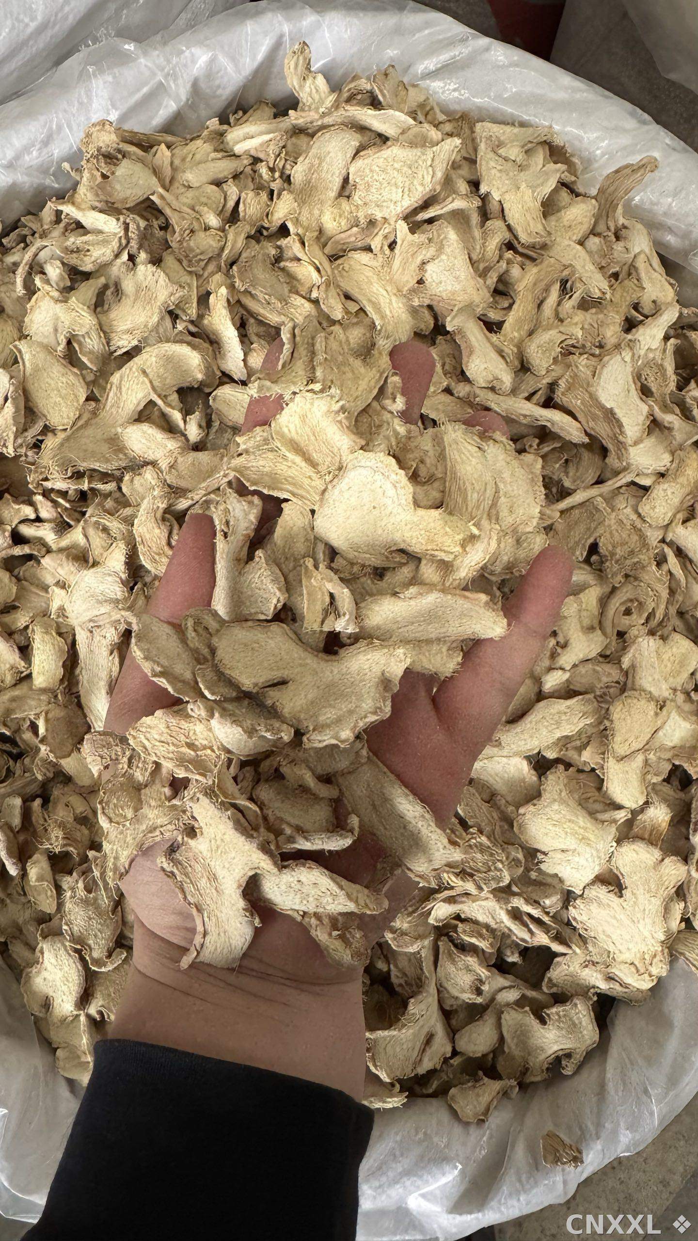 spice_25936_6acaa4fa_1.jpg