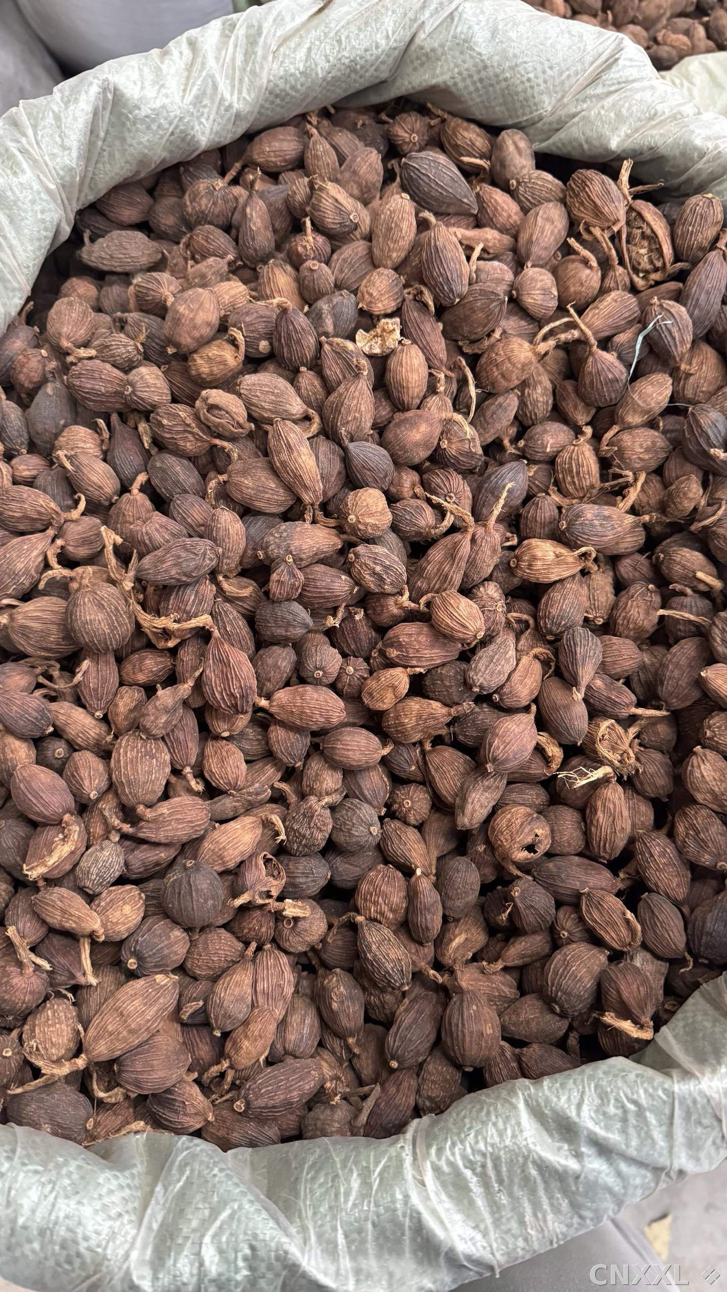 spice_25937_cc94579e_3.jpg