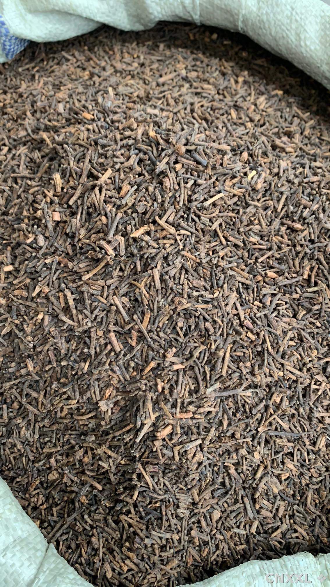 spice_25954_e083f272_3.jpg