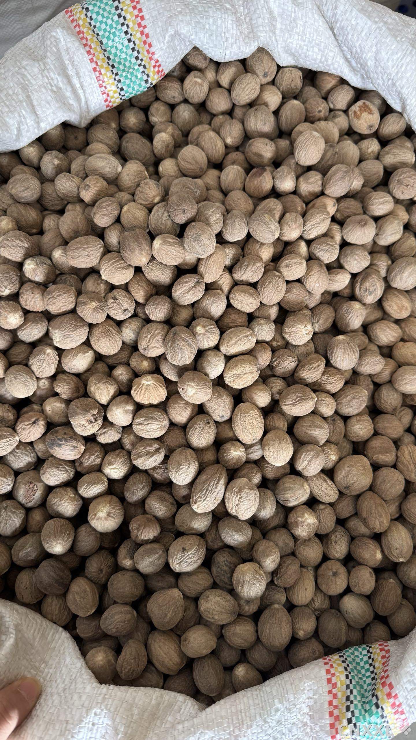 spice_25955_e0ee3aa3_3.jpg