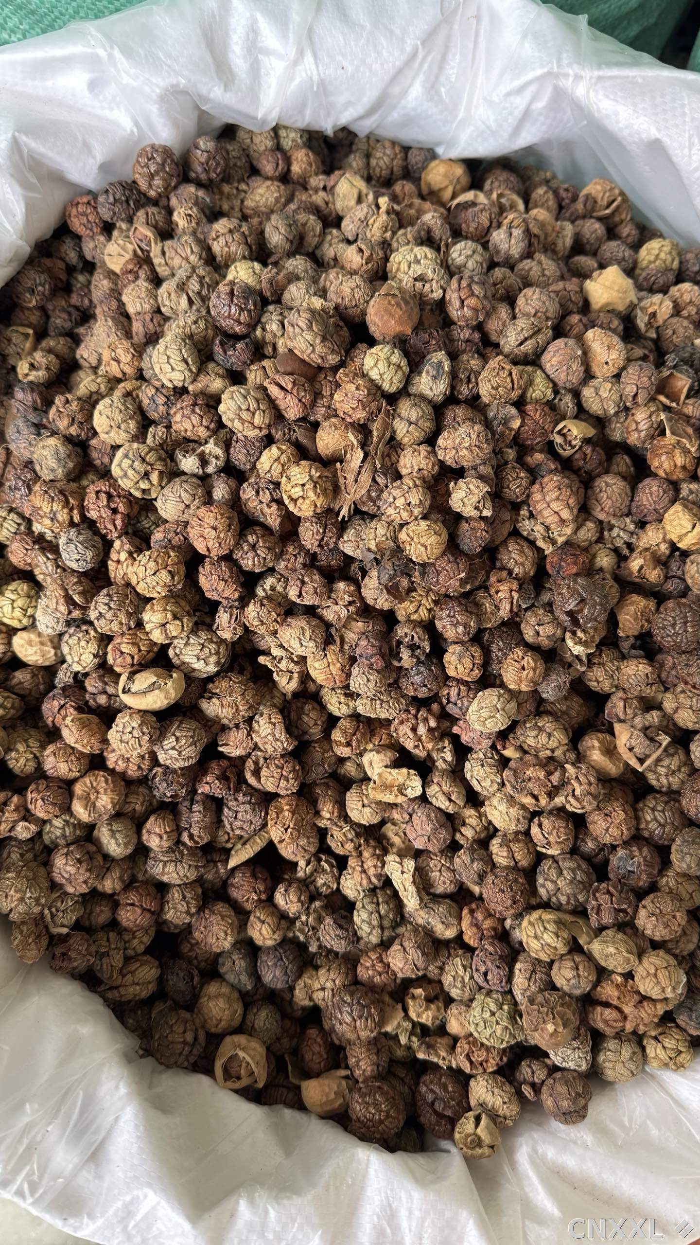 spice_25962_66d6159b_2.jpg