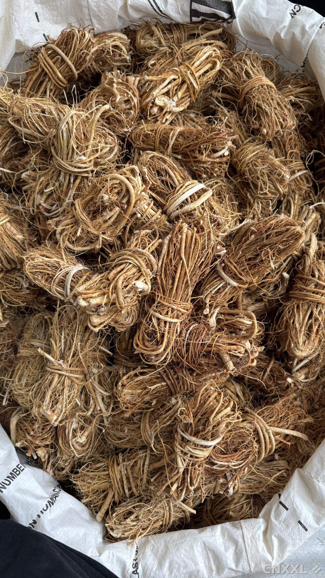 spice_25968_96b2a2ef_3.jpg