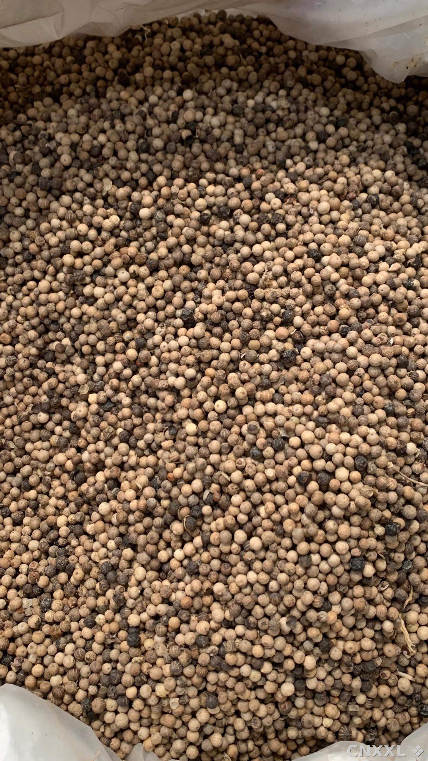 spice_25976_a2f5b387_3.jpg