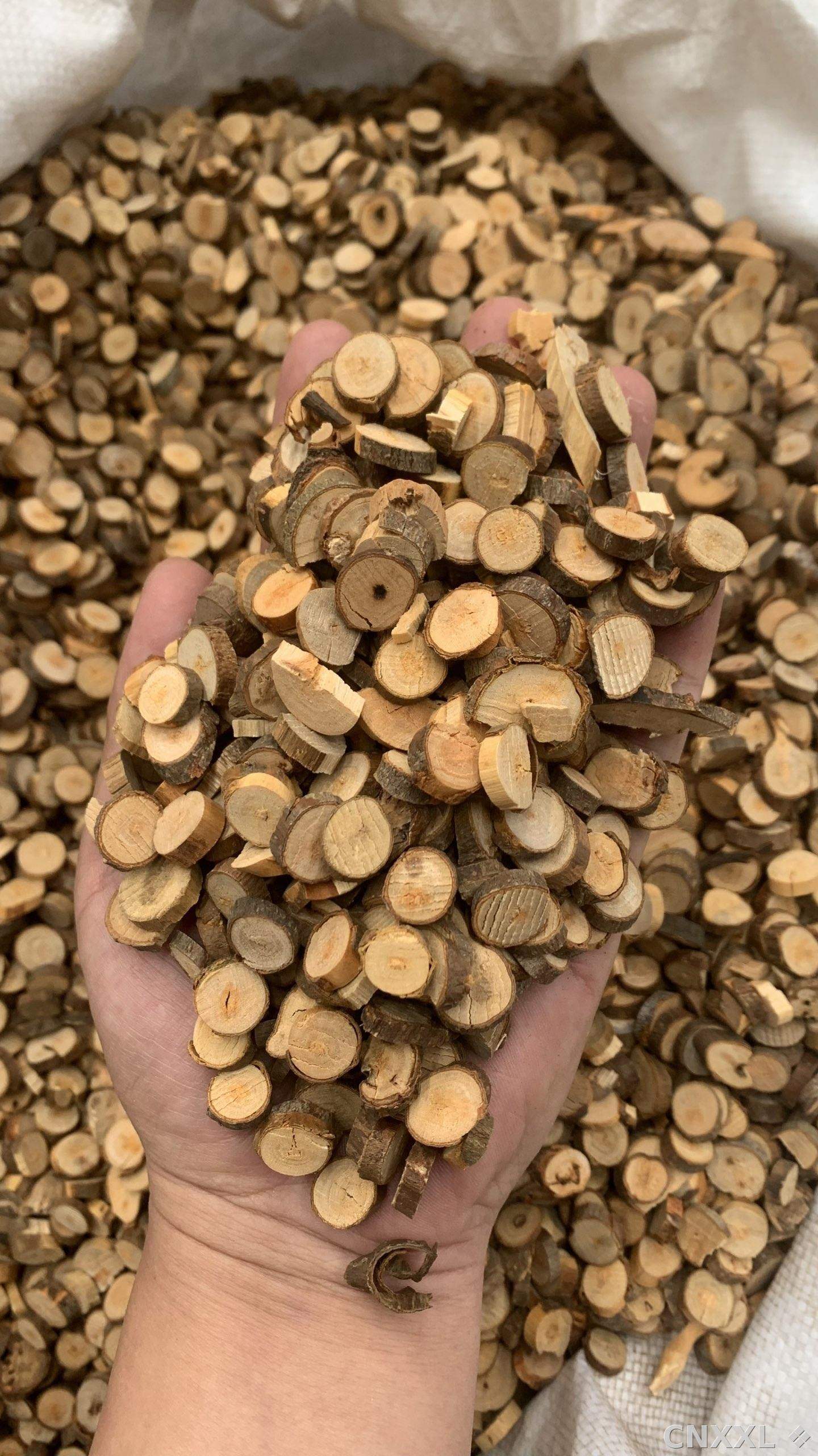 spice_25982_6cc0cdc0_2.jpg