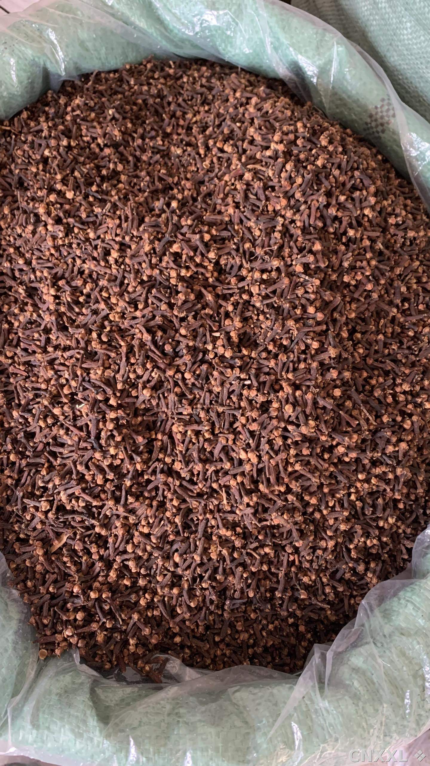 spice_25983_34aefd95_3.jpg