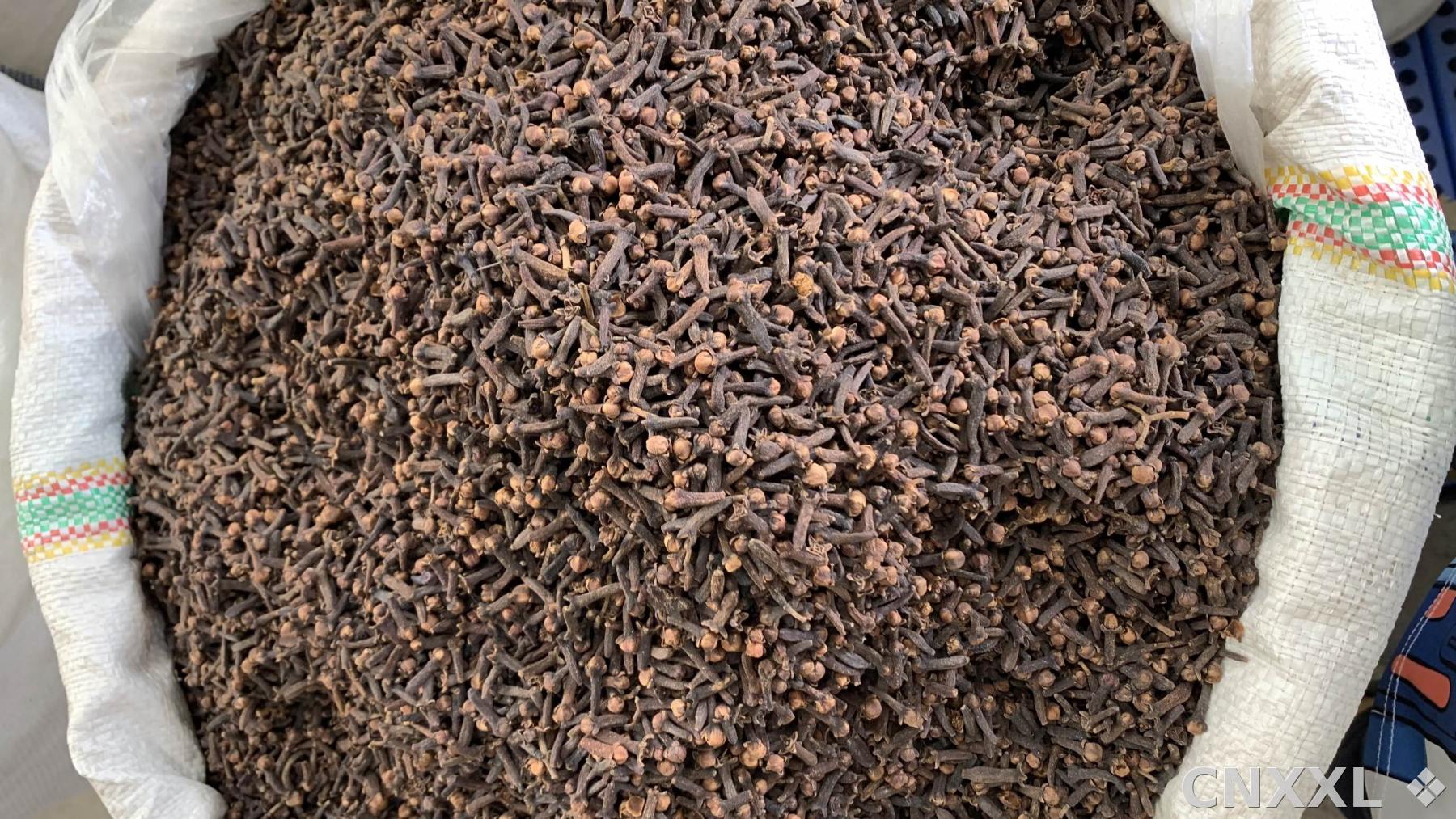 spice_25996_30dbb837_3.jpg