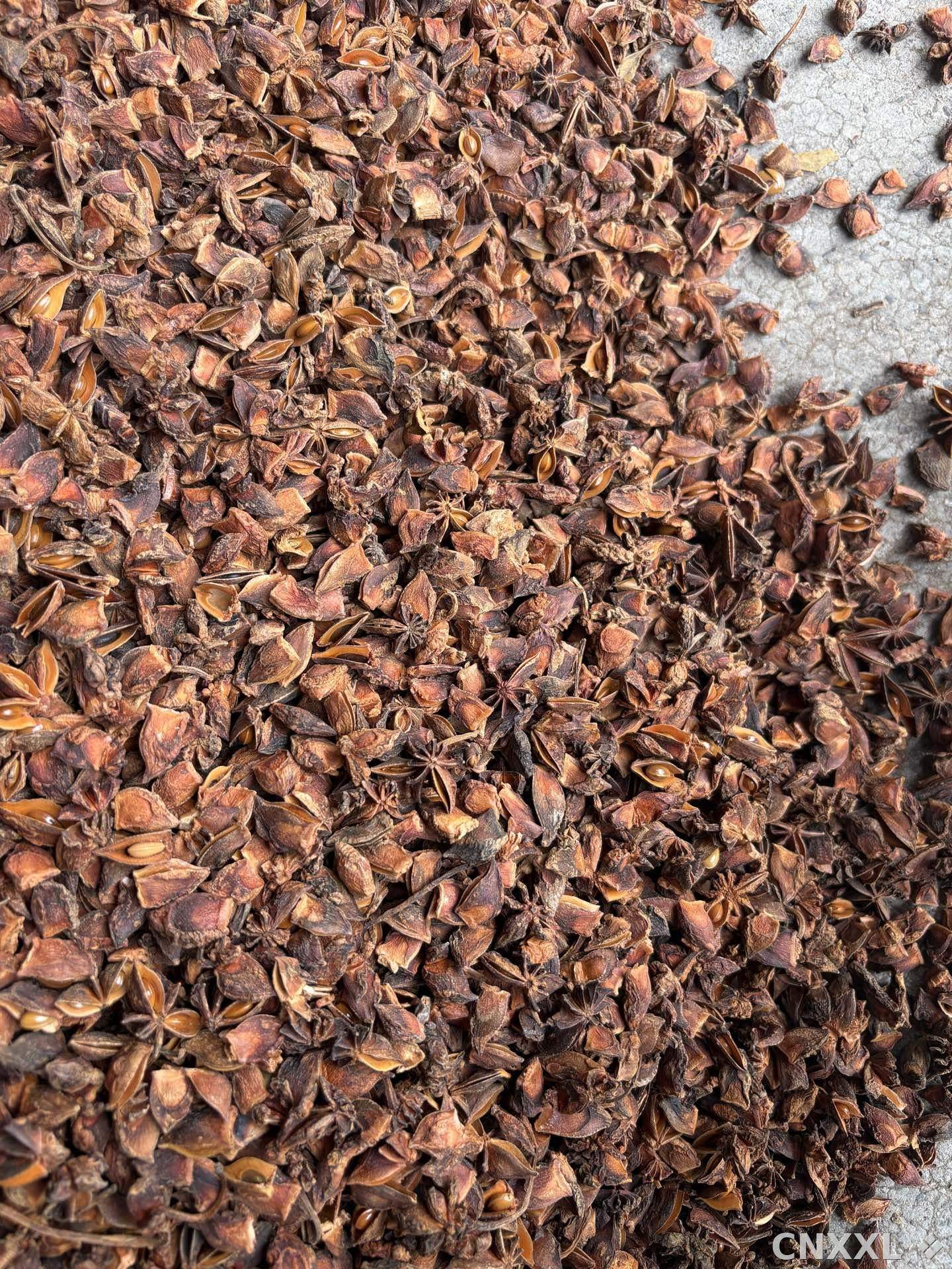 spice_26000_cf3083d7_2.jpg