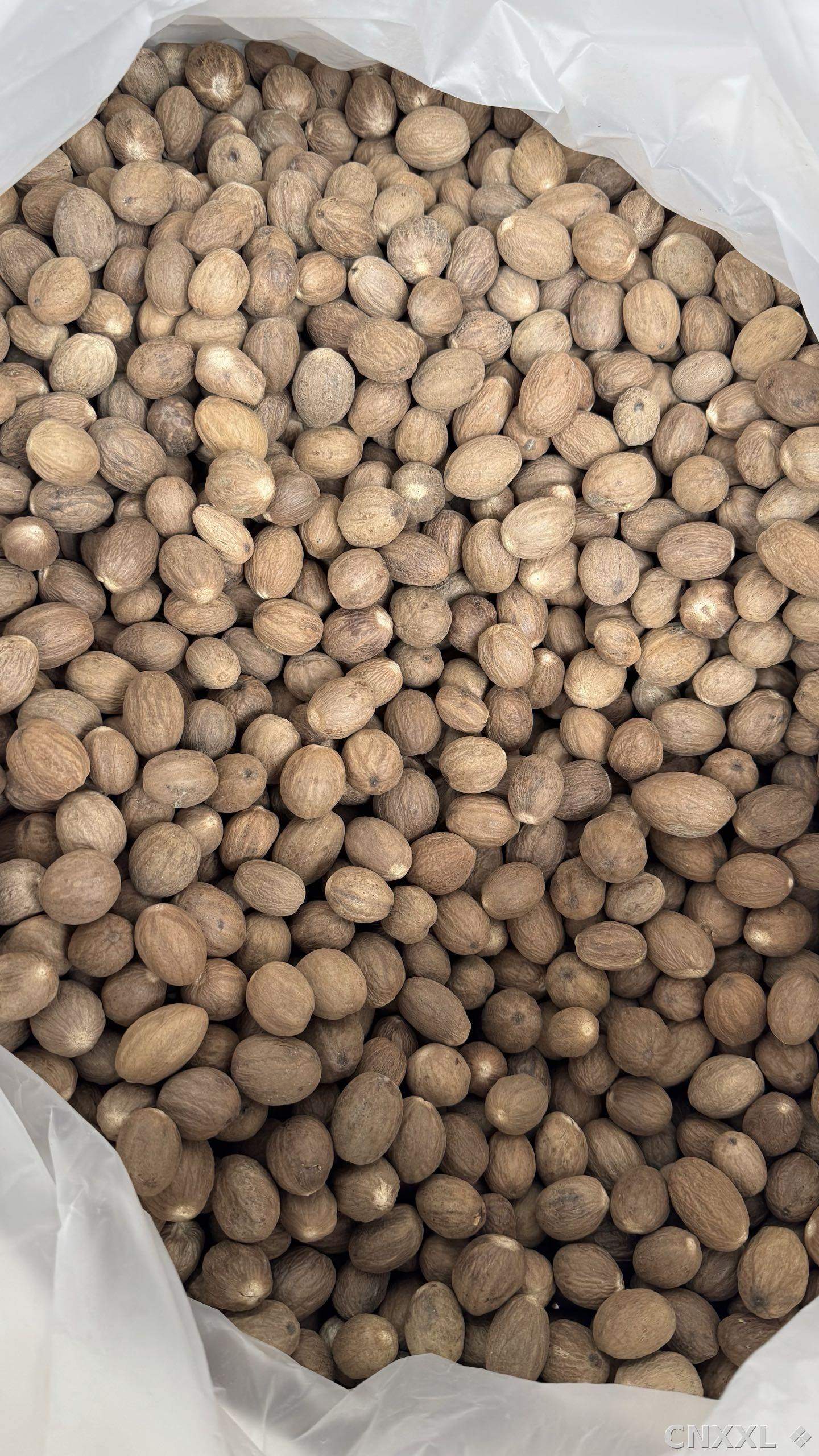 spice_26003_e1c8aa42_3.jpg