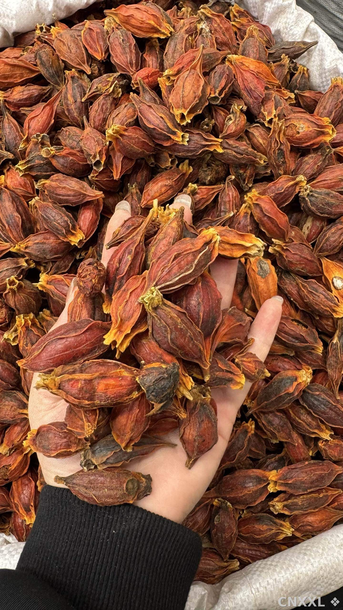 spice_26005_fa1c26d4_1.jpg