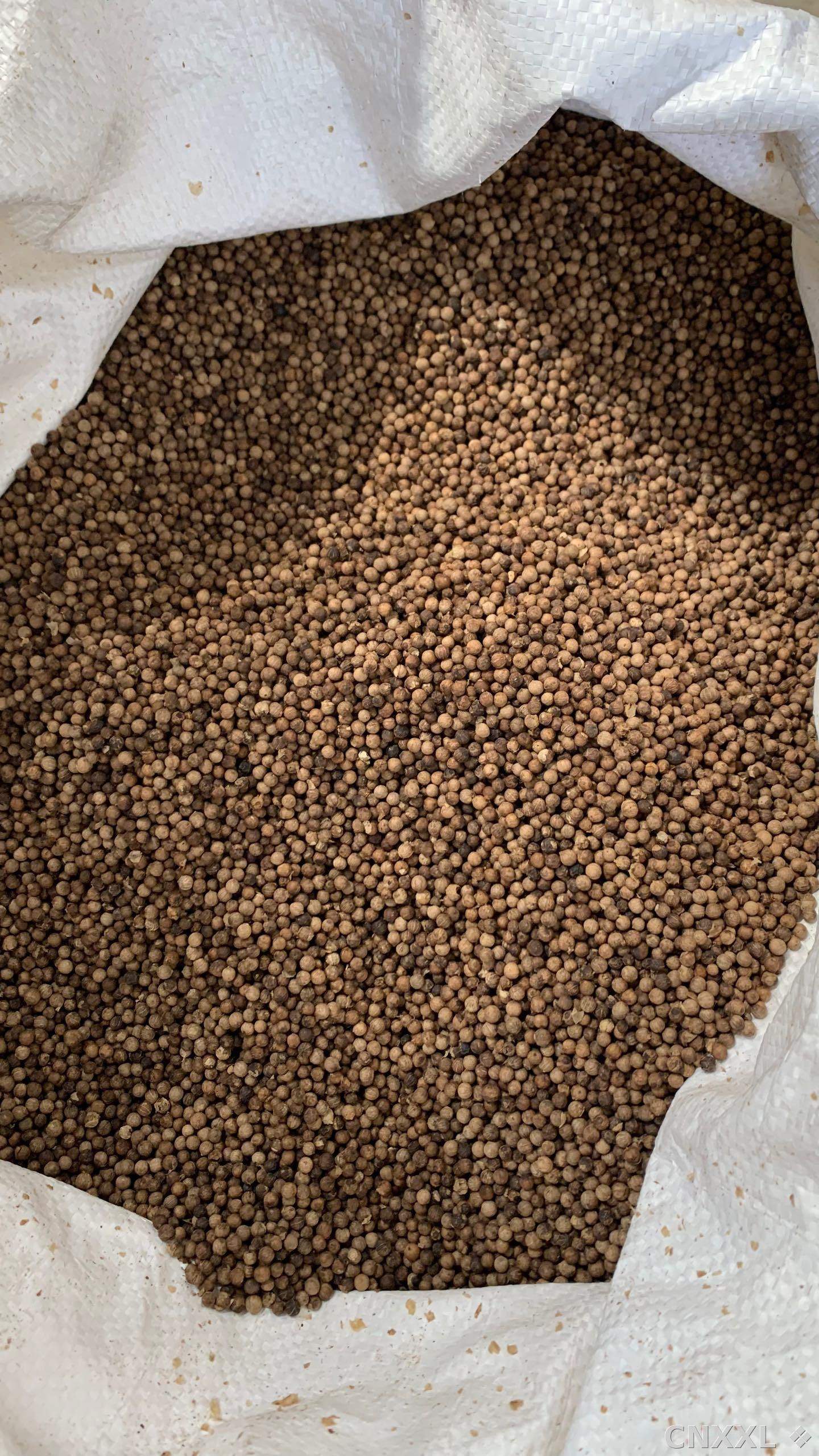 spice_26016_6c07057a_3.jpg