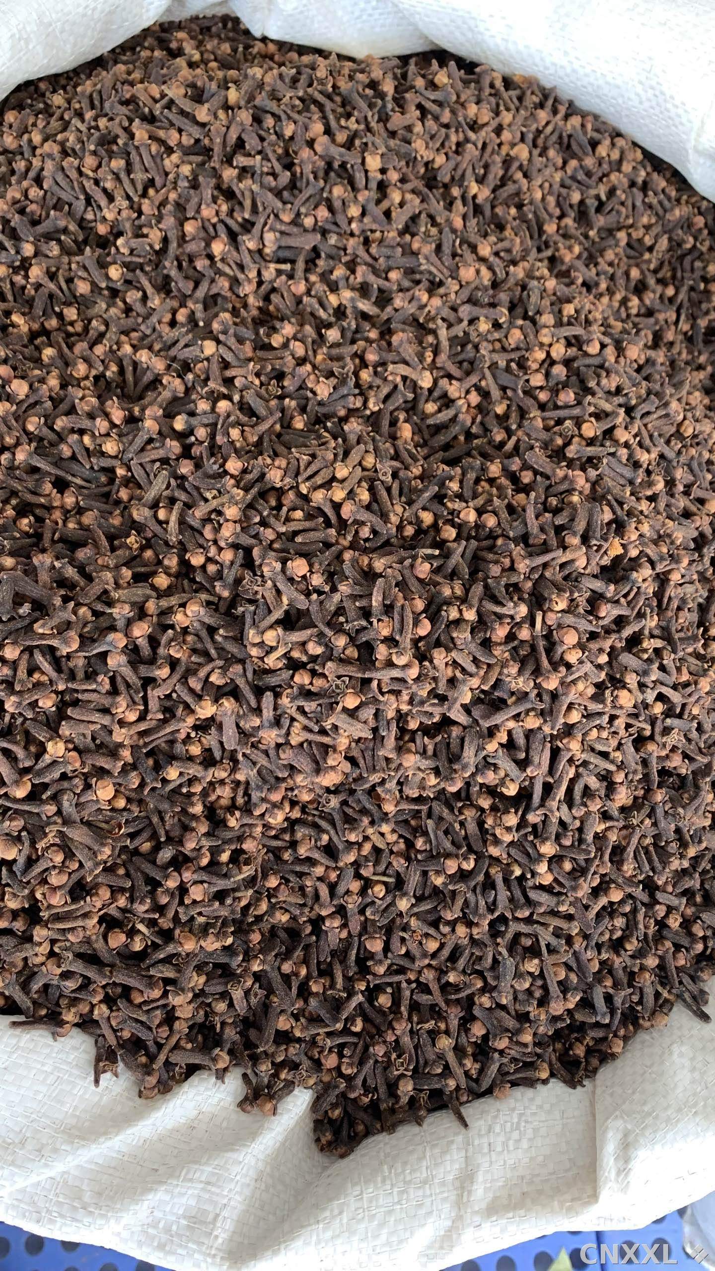 spice_26021_e699d430_3.jpg