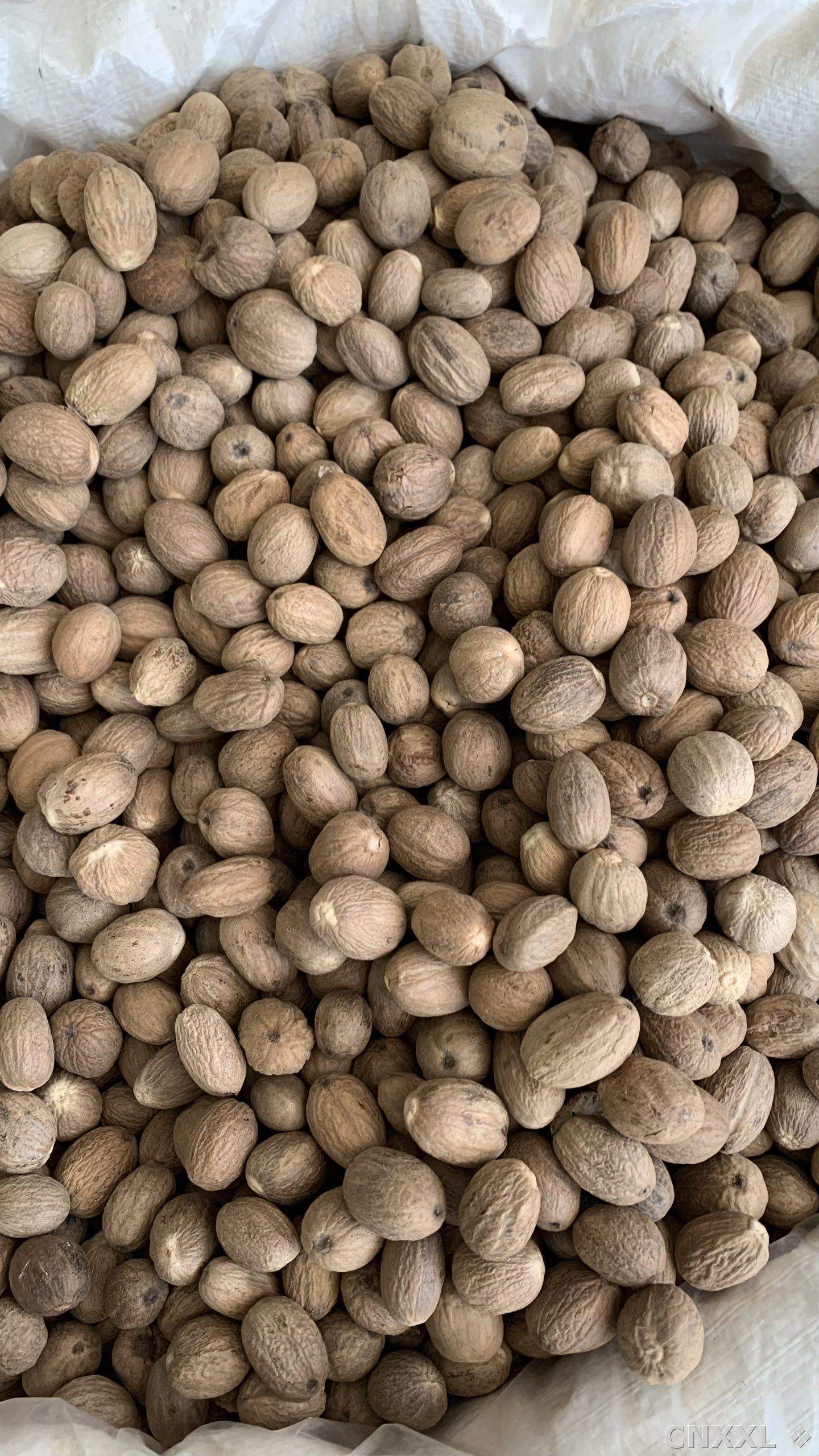 spice_26023_3fd0eab0_3.jpg