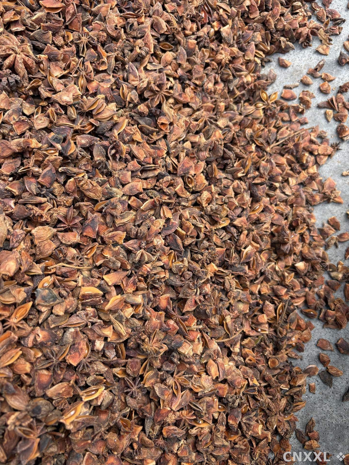 spice_26035_7f4e2f3a_3.jpg