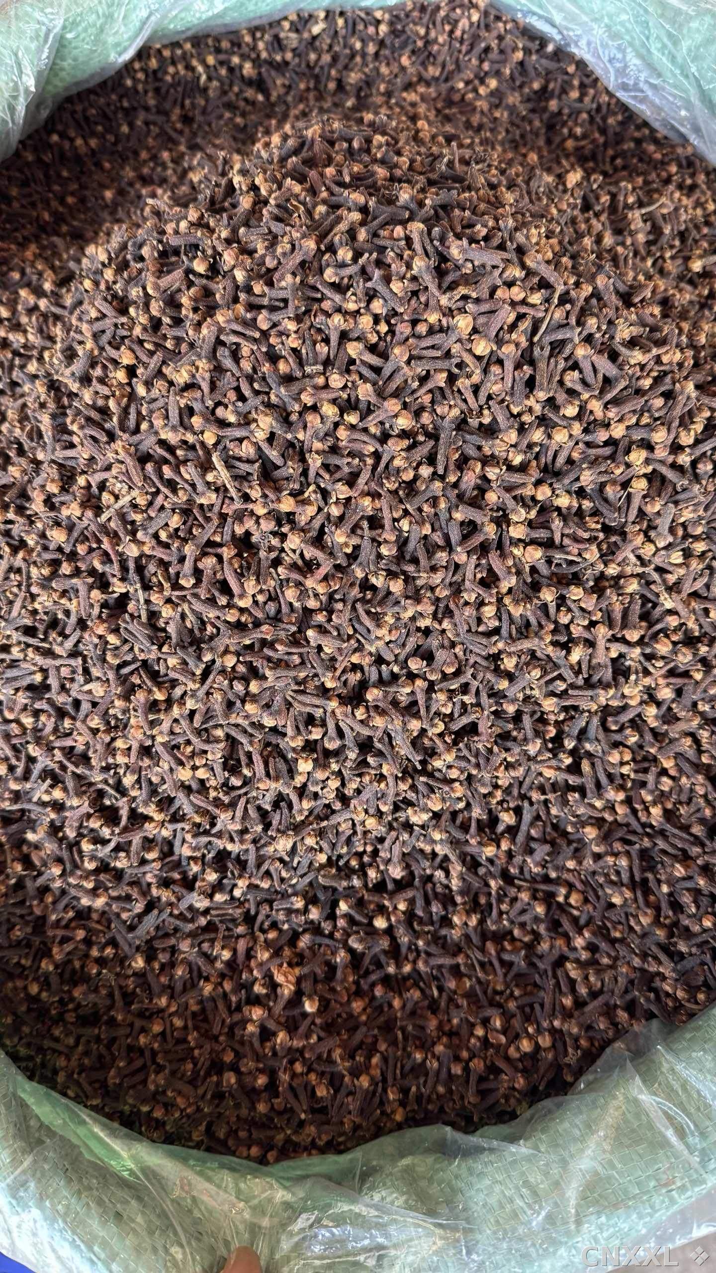 spice_26037_d20da8c5_3.jpg