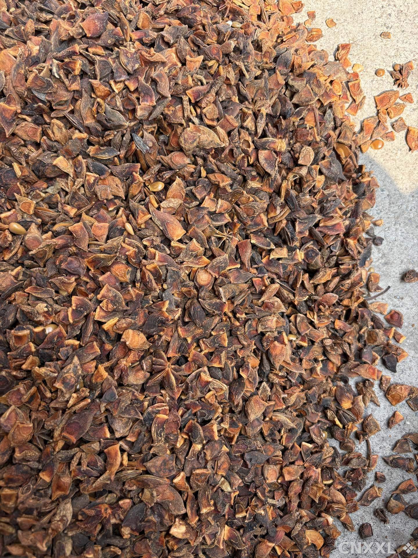 spice_26046_0a8681ab_3.jpg