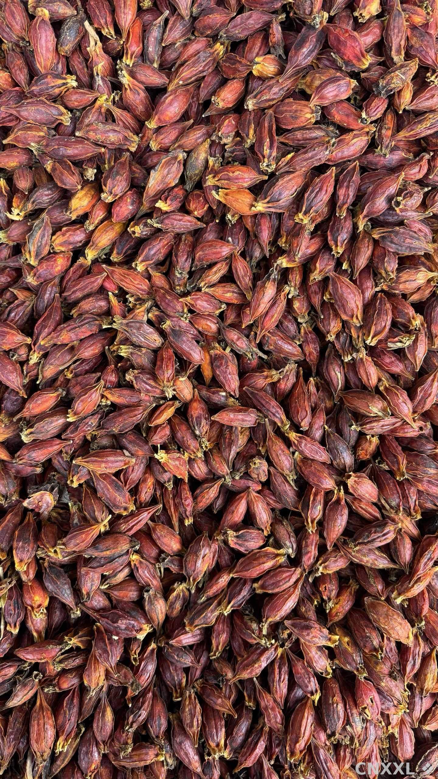 spice_26059_36c7ba78_3.jpg