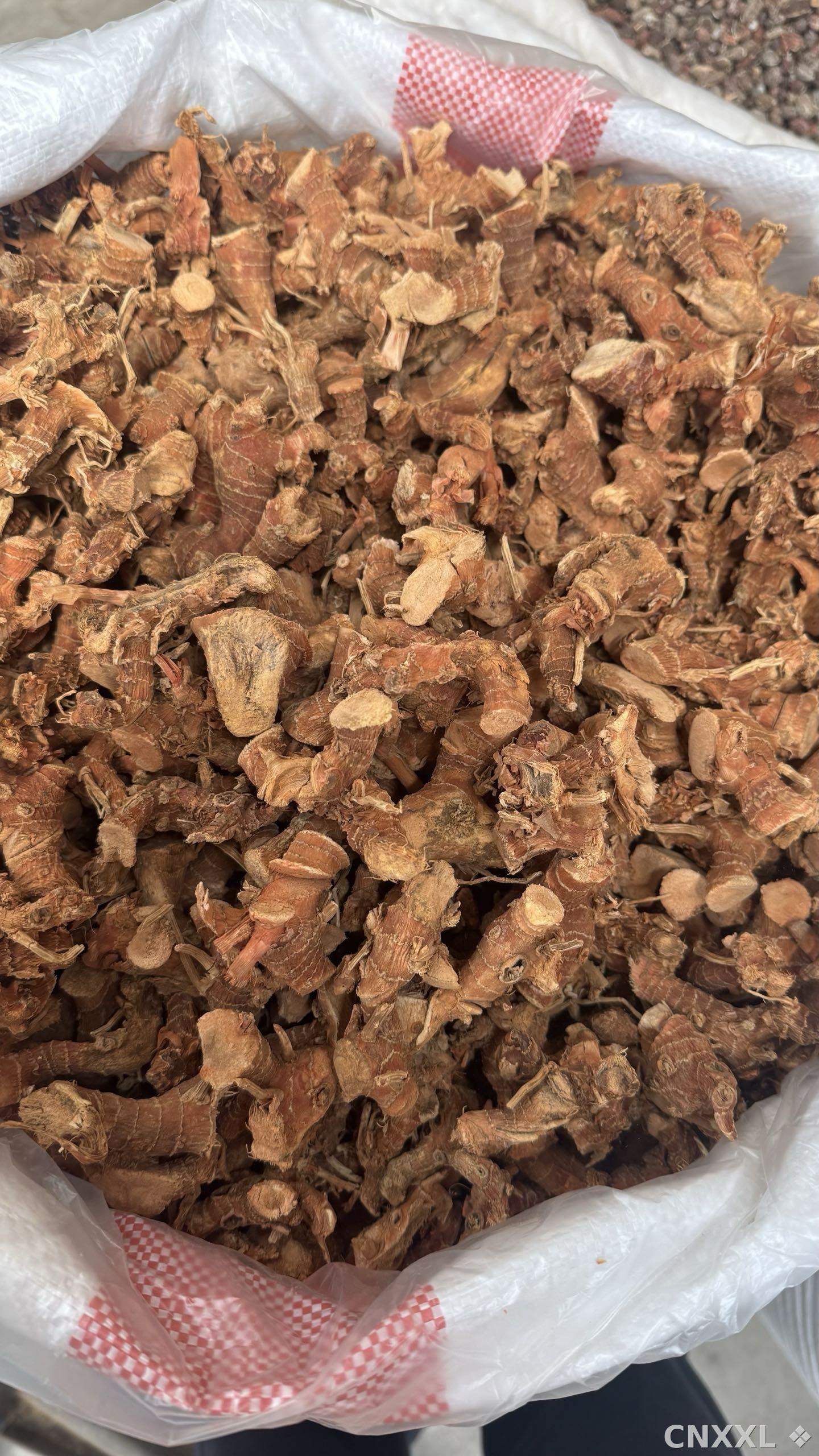 spice_26064_1a62c768_2.jpg