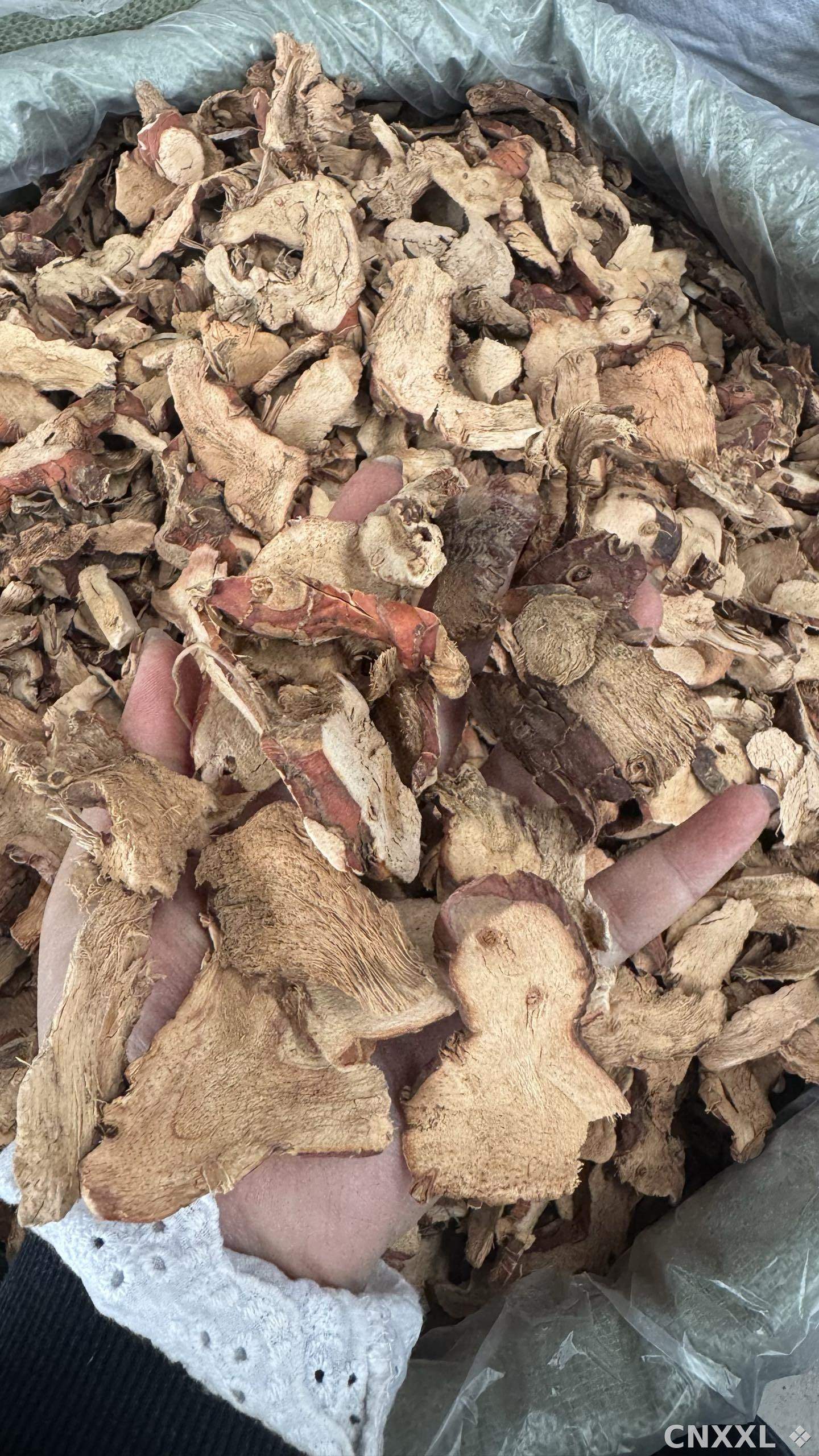 spice_26070_ccba23ab_1.jpg