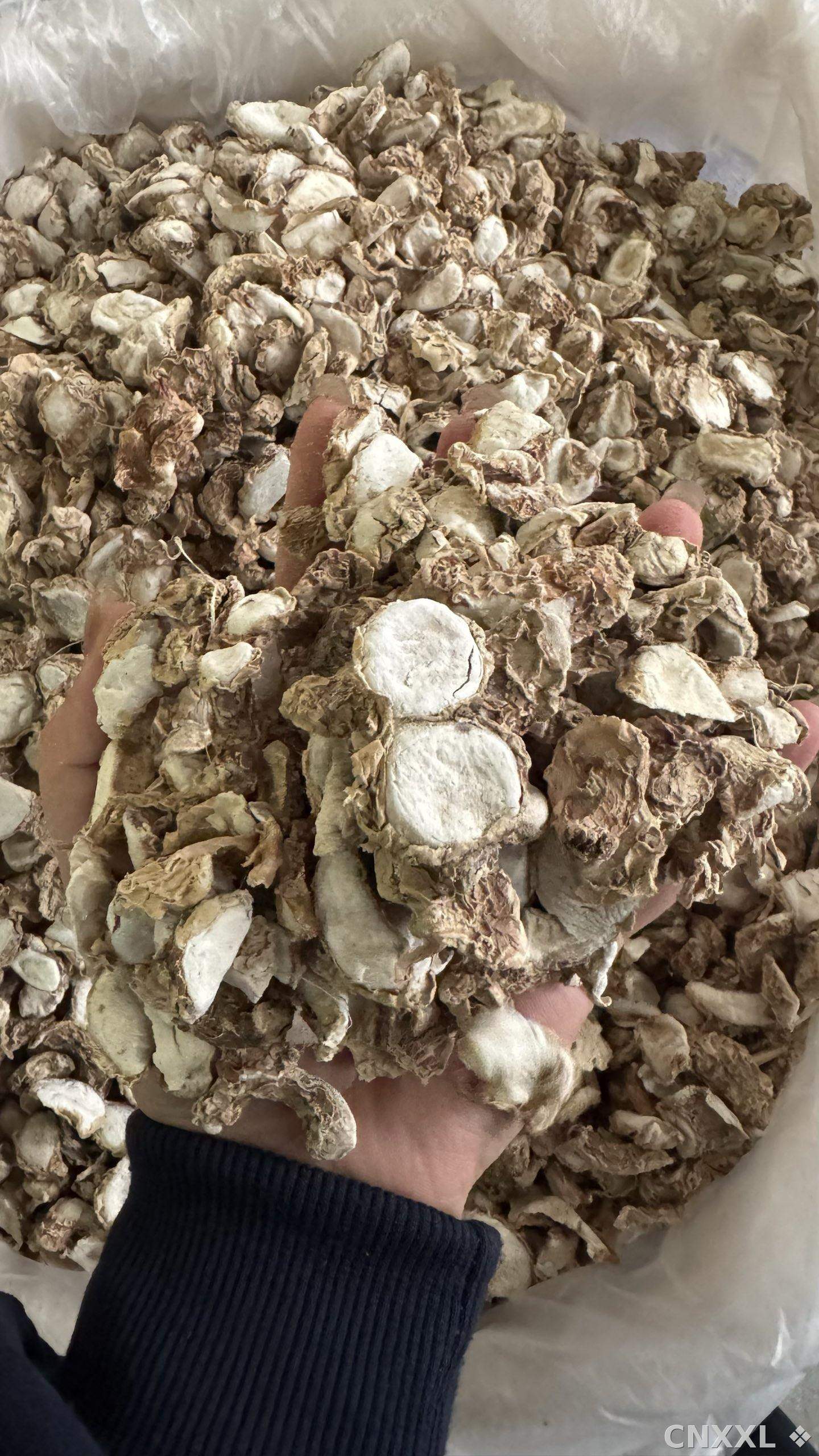 spice_26083_9ebf3528_3.jpg