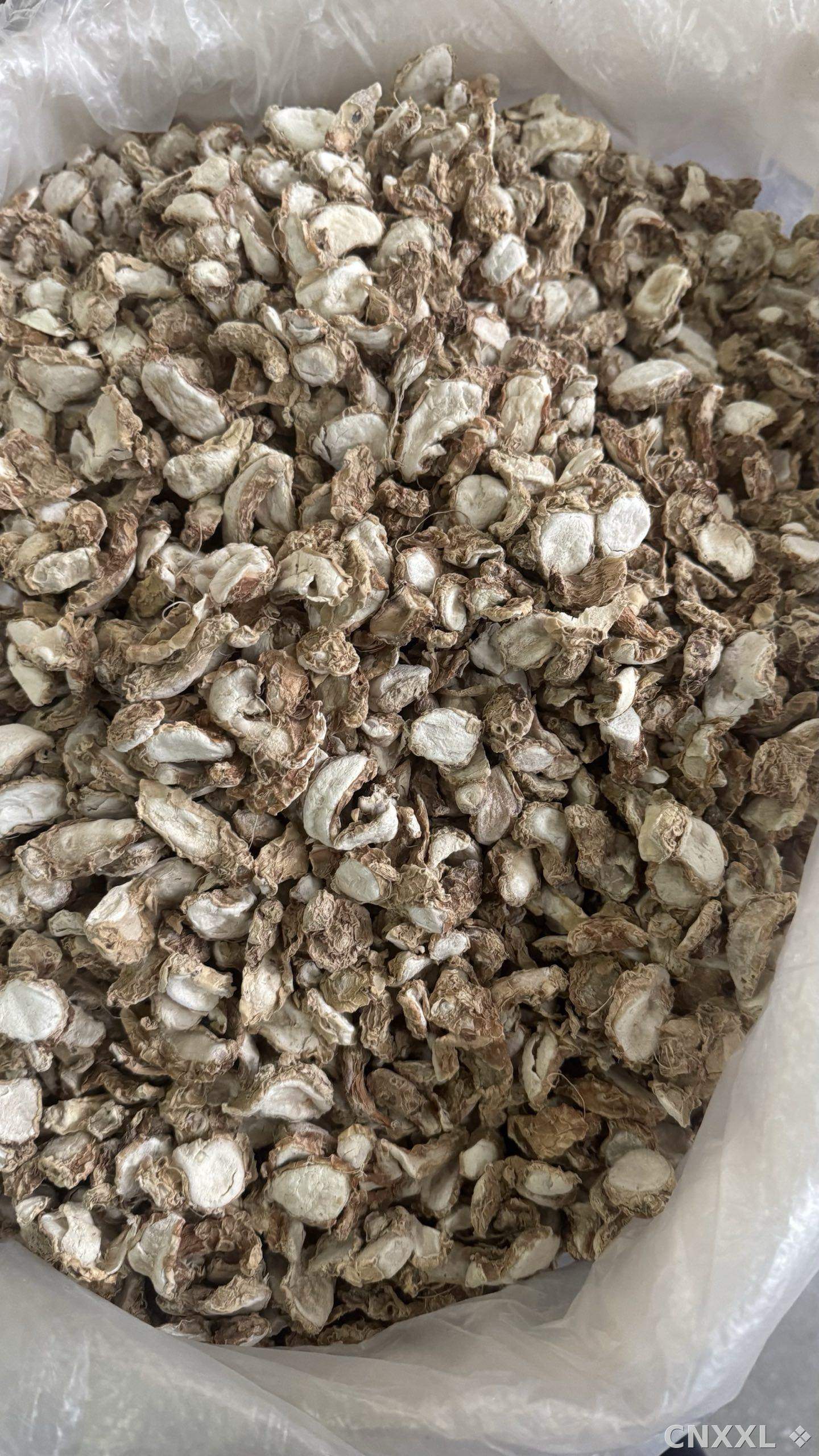 spice_26083_d94ccfc6_2.jpg