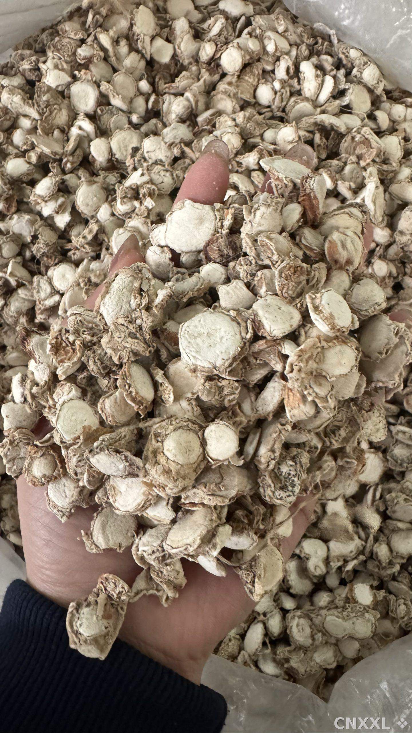 spice_26084_856f9ba6_2.jpg