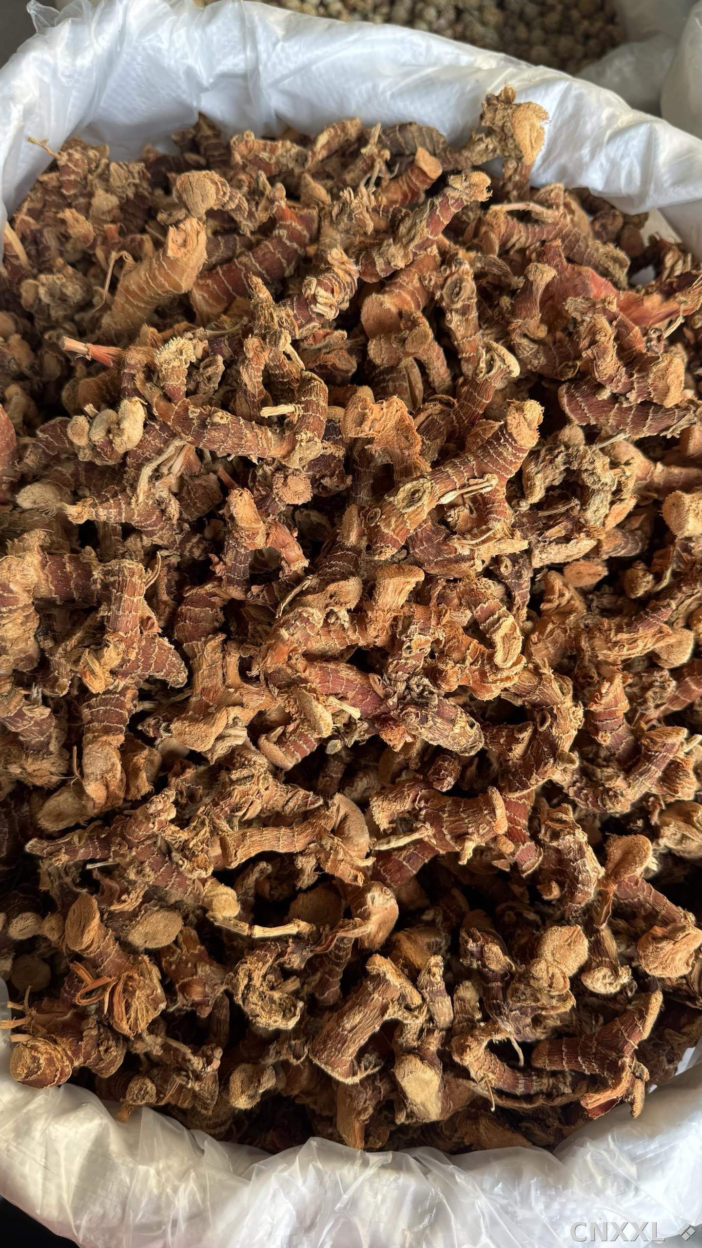 spice_26086_b50cad53_3.jpg