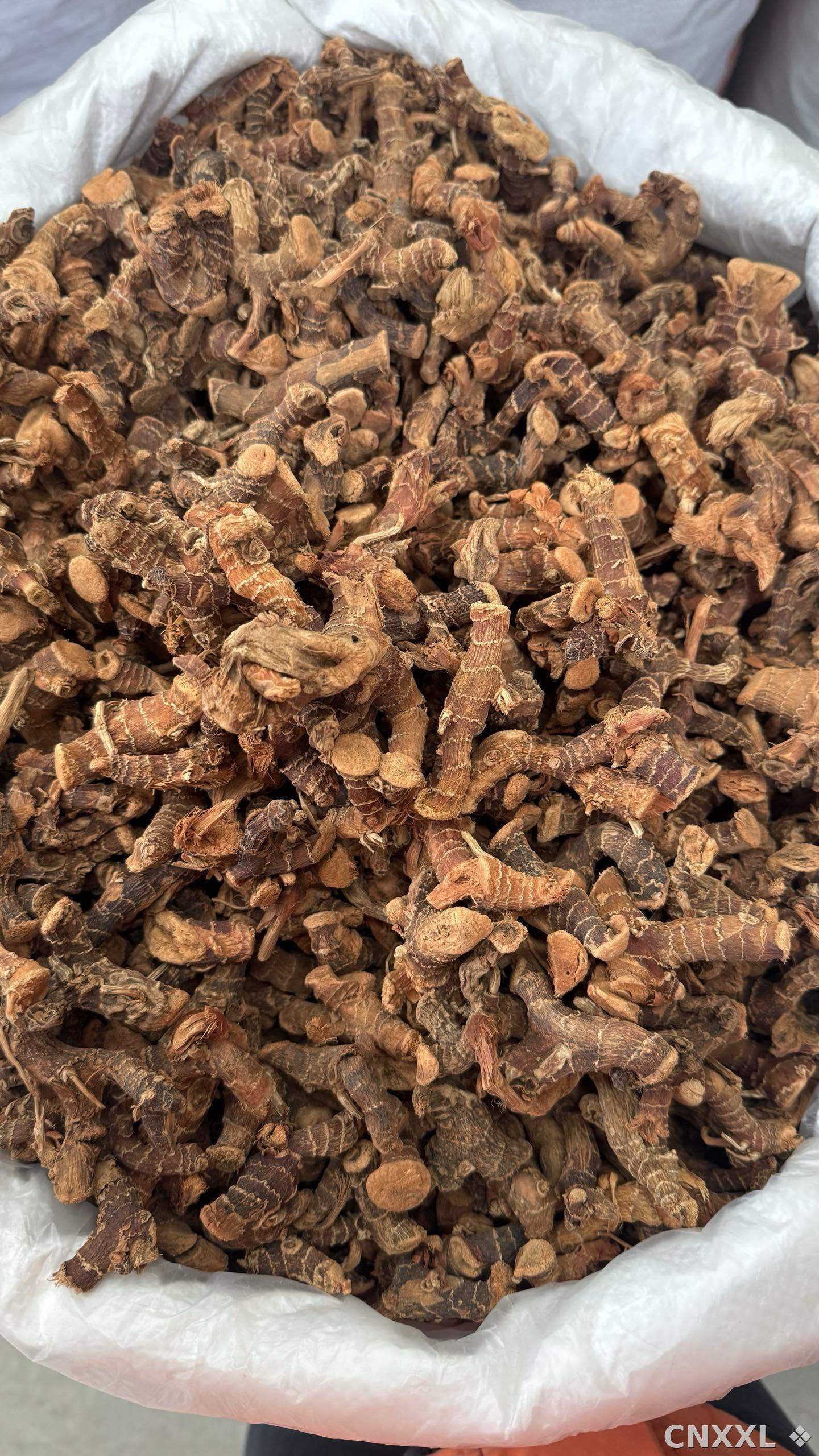 spice_26090_cac24a10_3.jpg