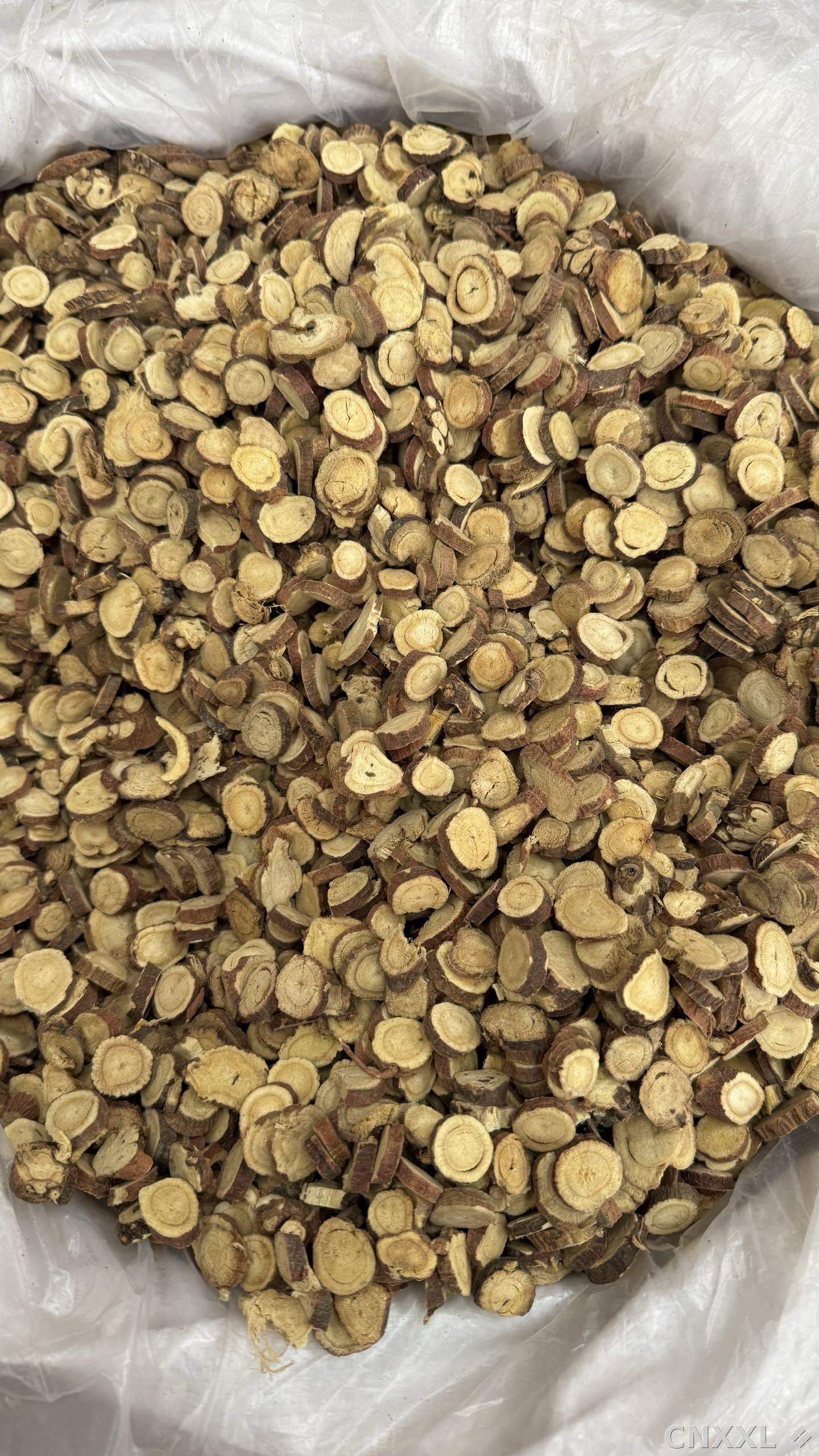 spice_26098_79ff7308_2.jpg