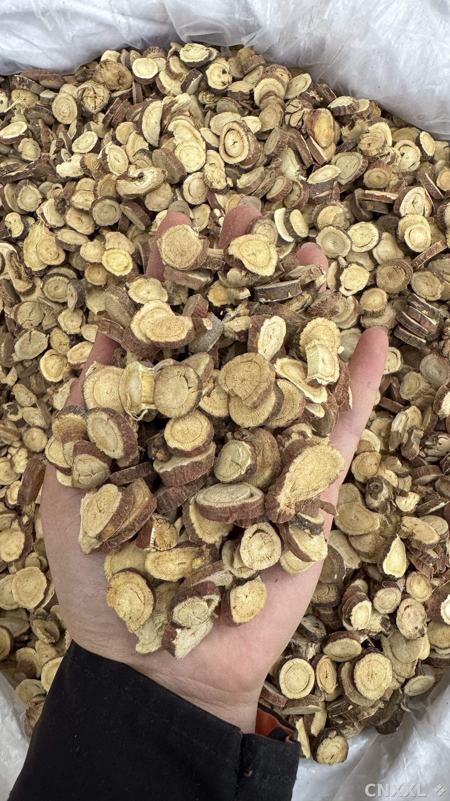 spice_26098_da8a3ad1_1.jpg