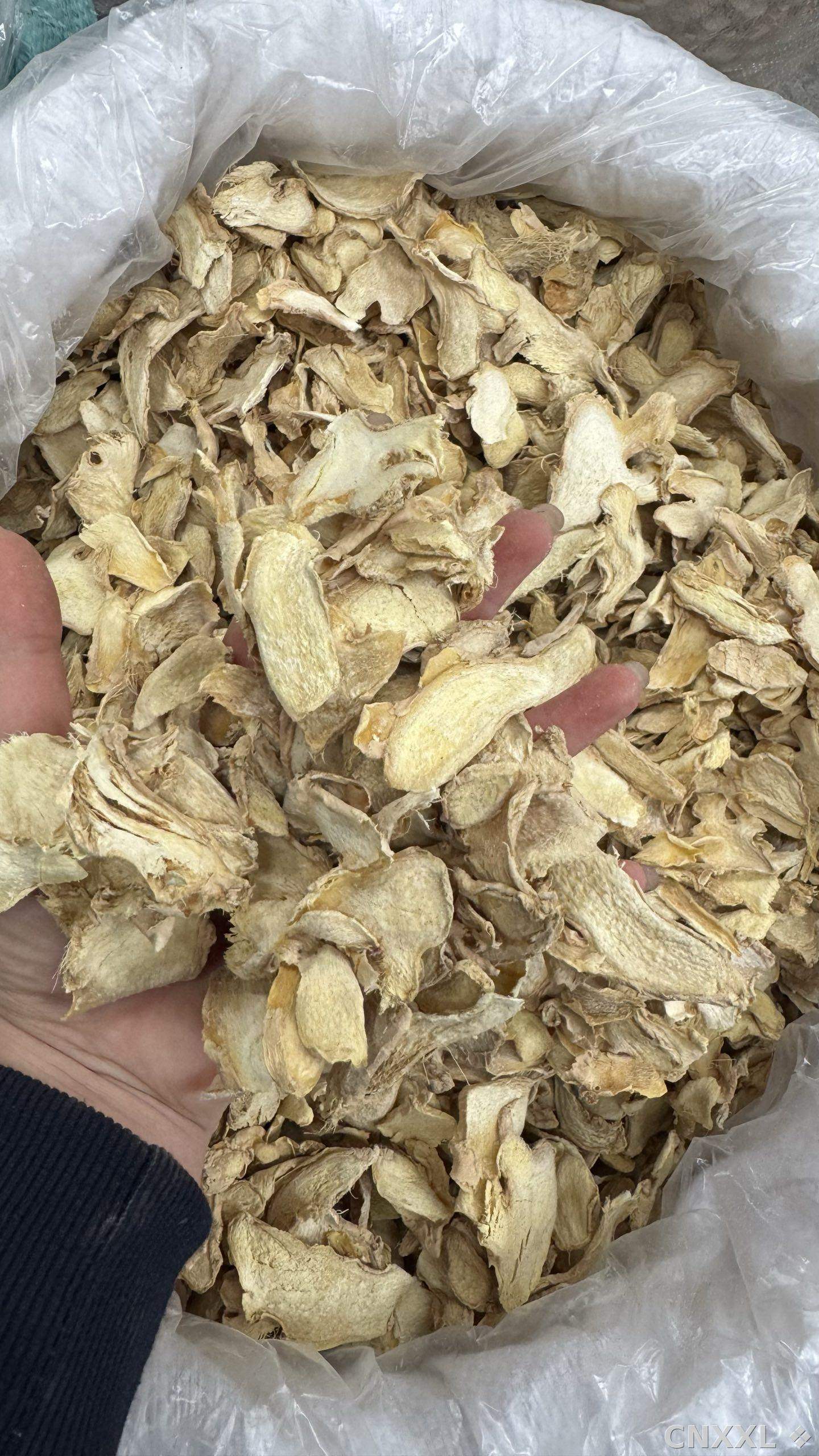 spice_26106_a0e232a8_1.jpg