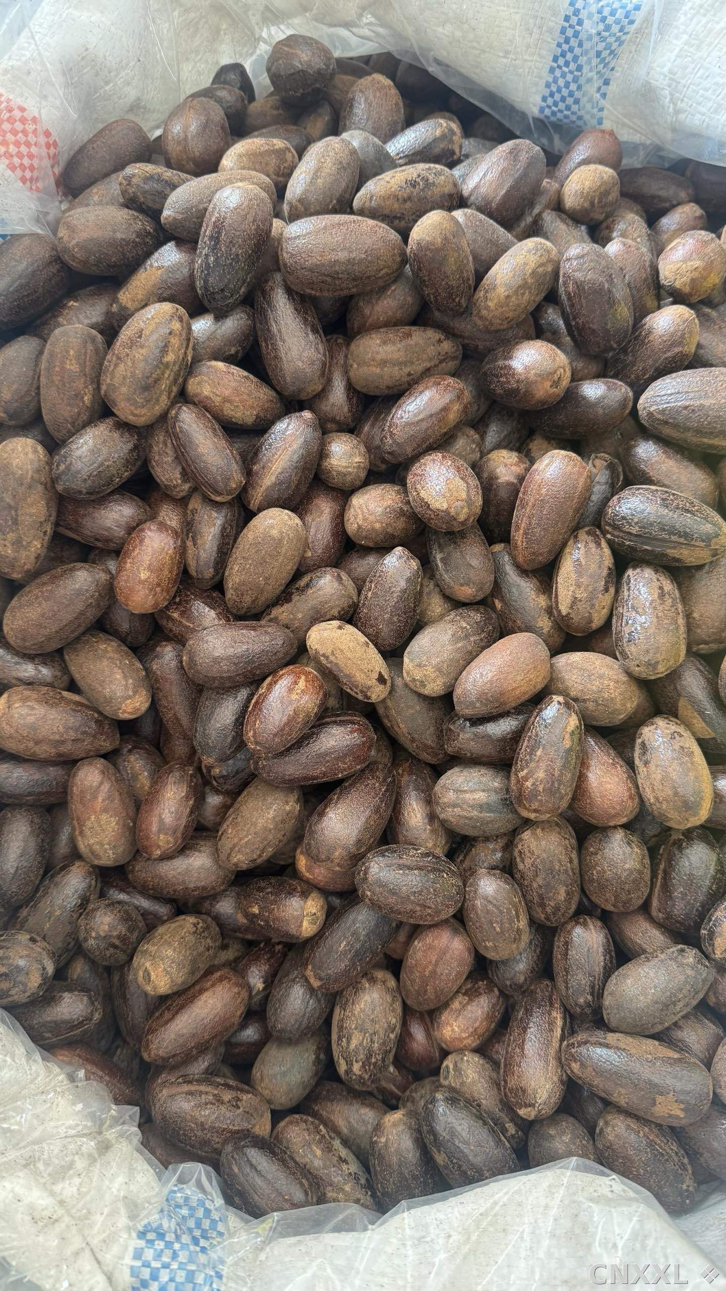 spice_26133_516c3b58_2.jpg