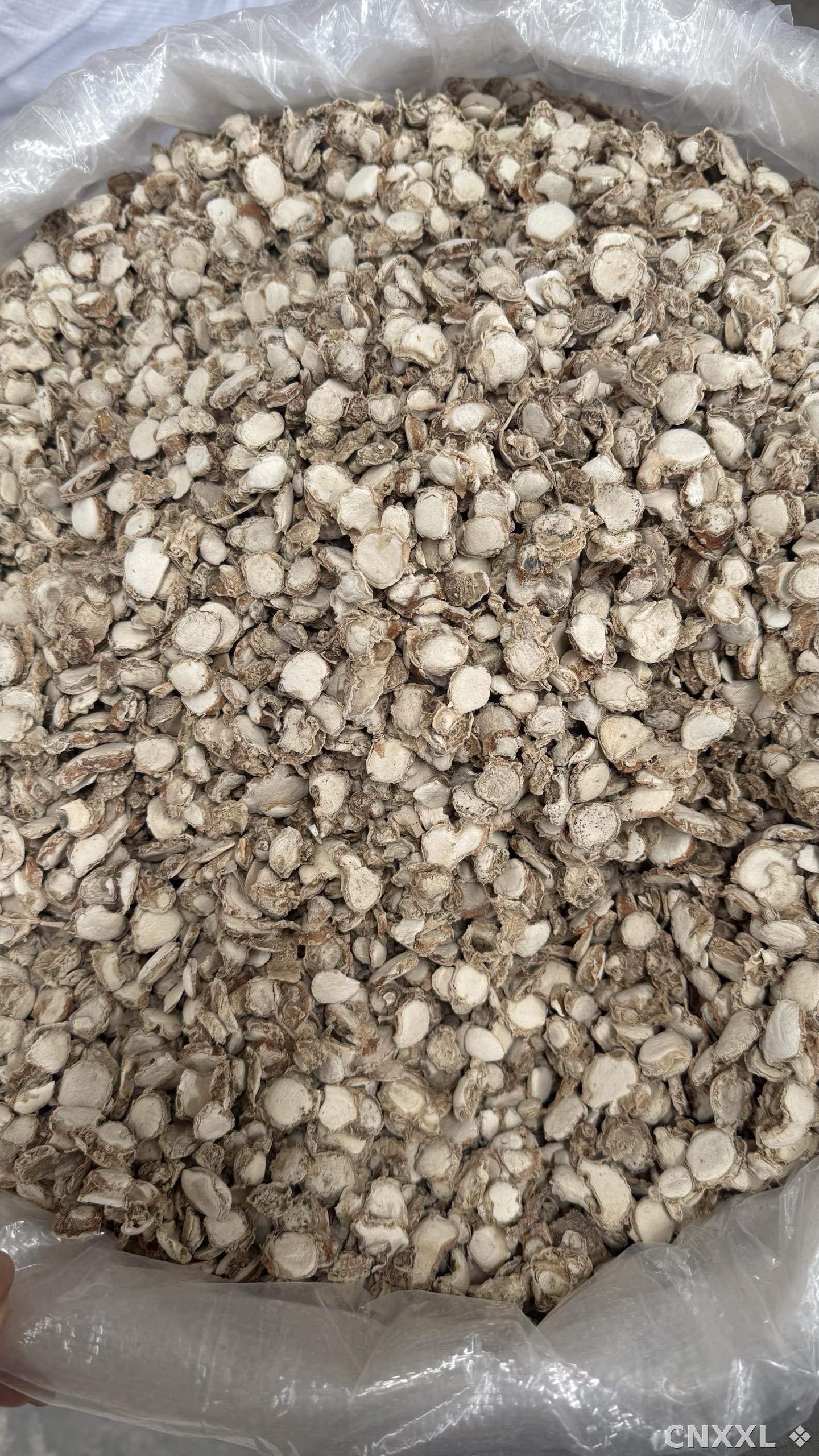 spice_26135_14c3a5a2_2.jpg