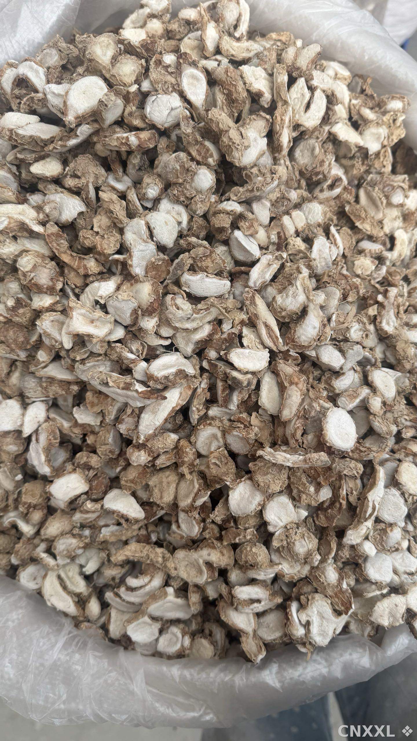 spice_26137_9246841d_3.jpg